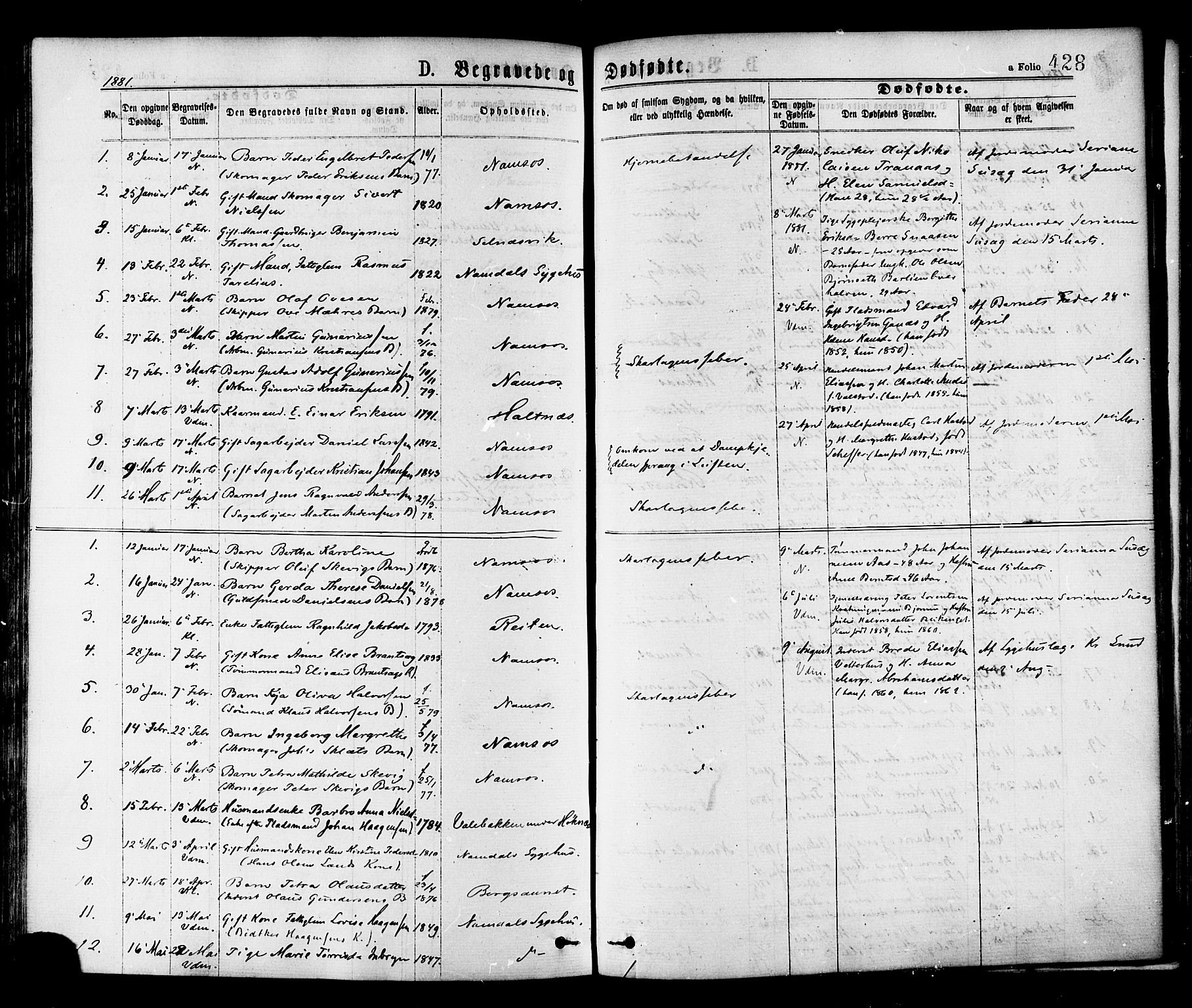 Ministerialprotokoller, klokkerbøker og fødselsregistre - Nord-Trøndelag, SAT/A-1458/768/L0572: Parish register (official) no. 768A07, 1874-1886, p. 428