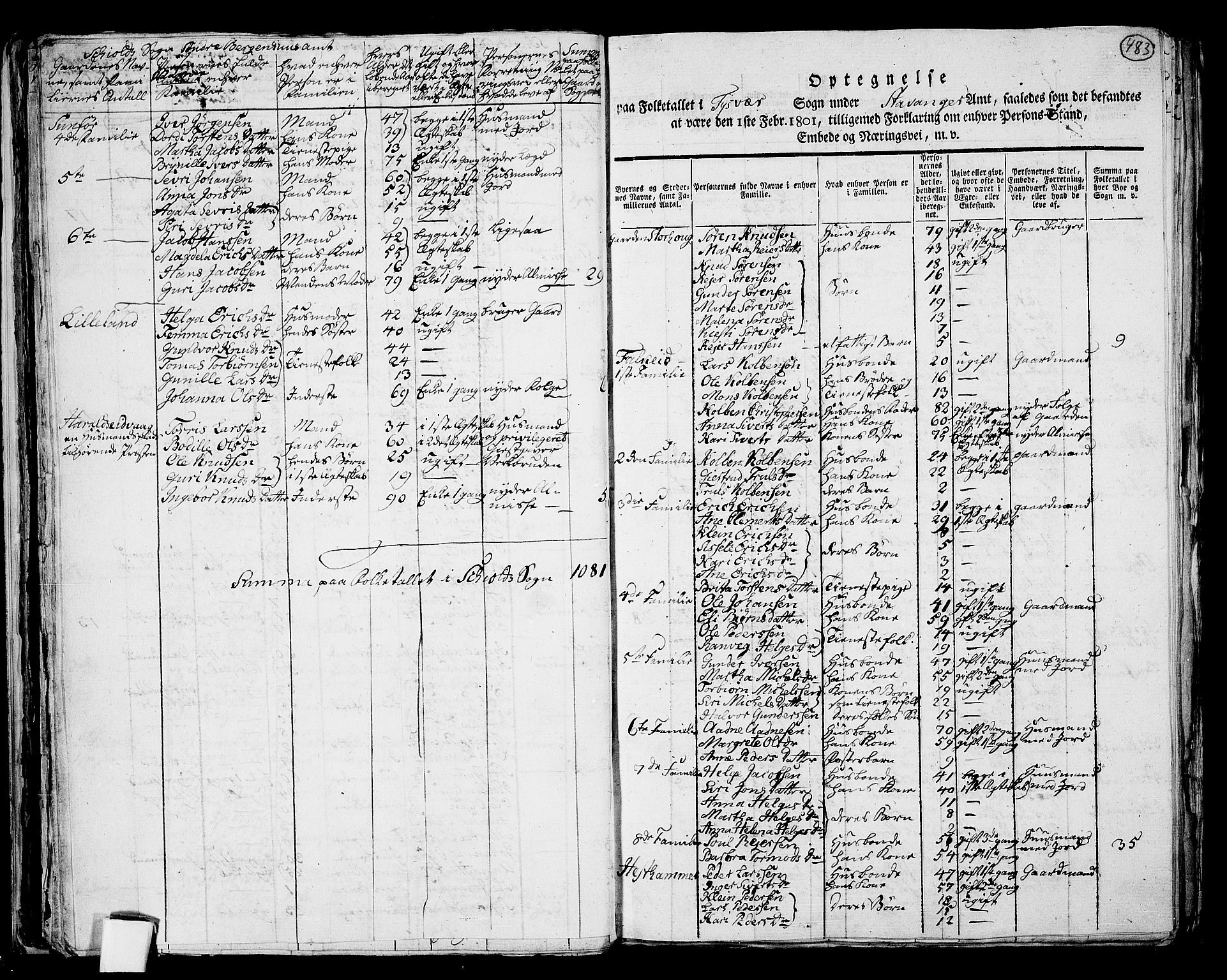 RA, 1801 census for 1154P Skjold, 1801, p. 482b-483a