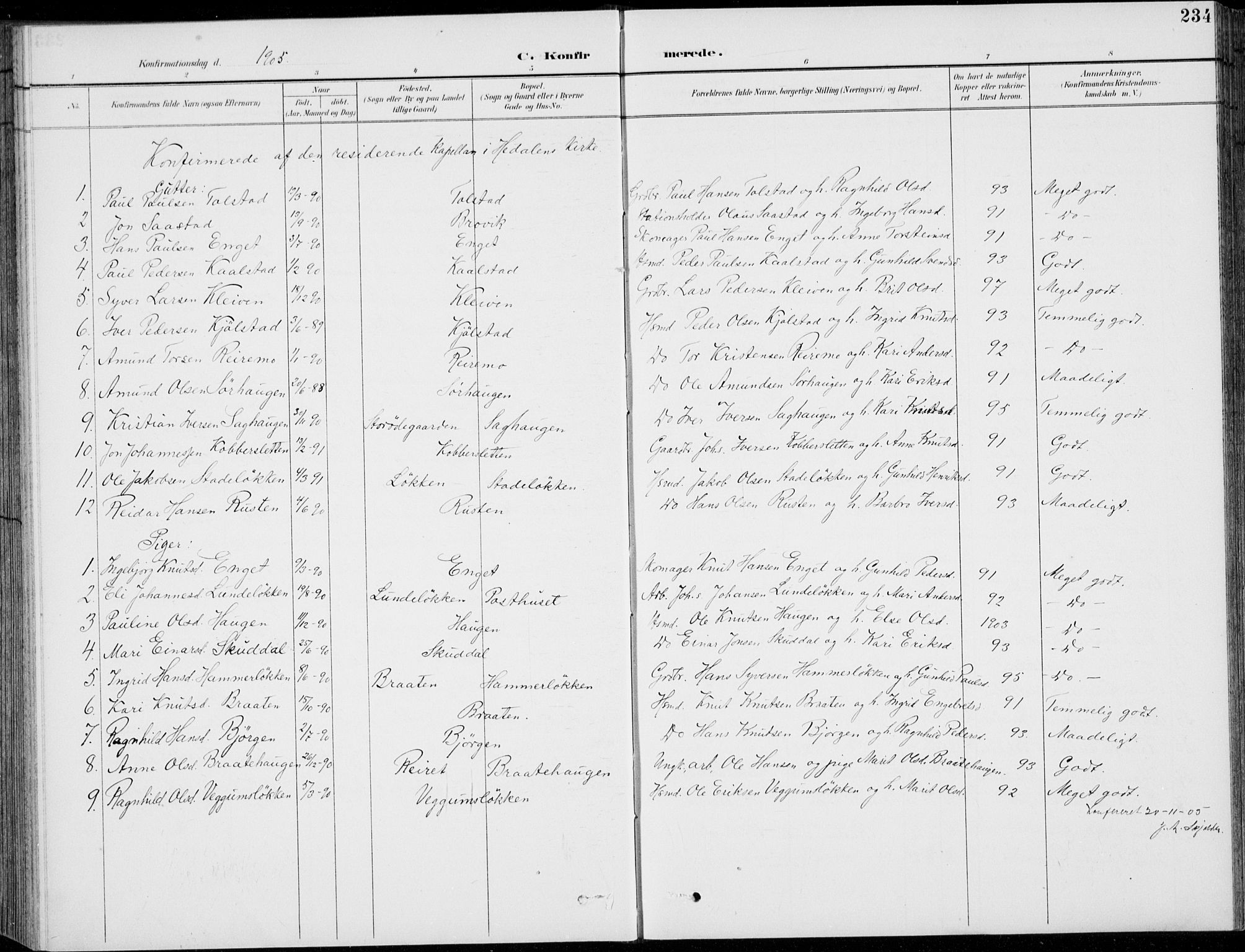 Vågå prestekontor, SAH/PREST-076/H/Ha/Hab/L0002: Parish register (copy) no. 2, 1894-1939, p. 234