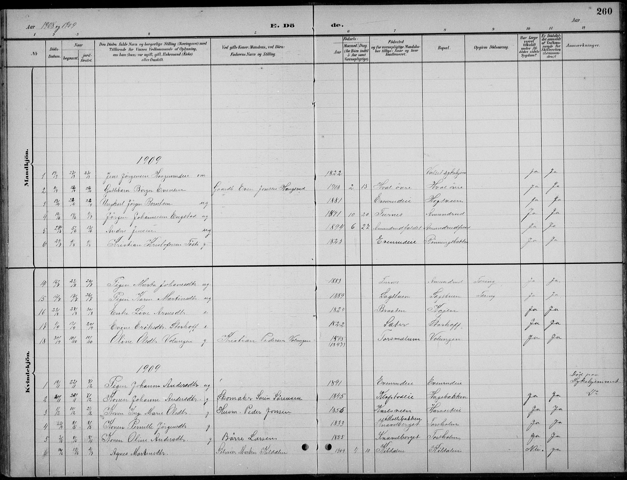 Romedal prestekontor, AV/SAH-PREST-004/L/L0013: Parish register (copy) no. 13, 1896-1937, p. 260