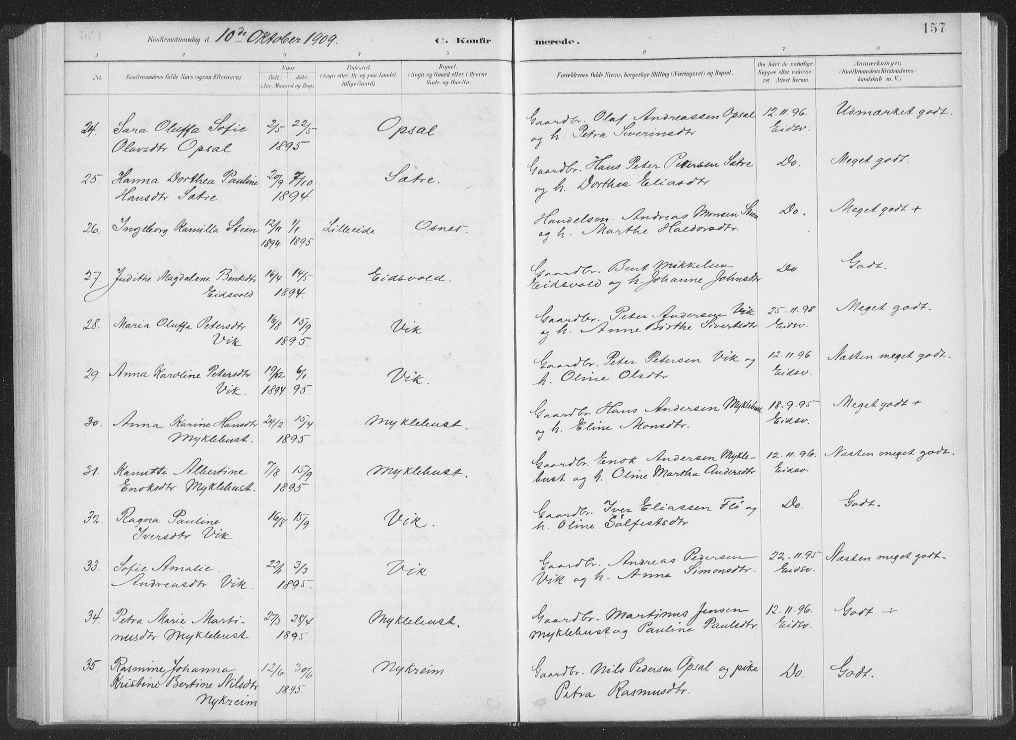 Ministerialprotokoller, klokkerbøker og fødselsregistre - Møre og Romsdal, AV/SAT-A-1454/502/L0025: Parish register (official) no. 502A03, 1885-1909, p. 157