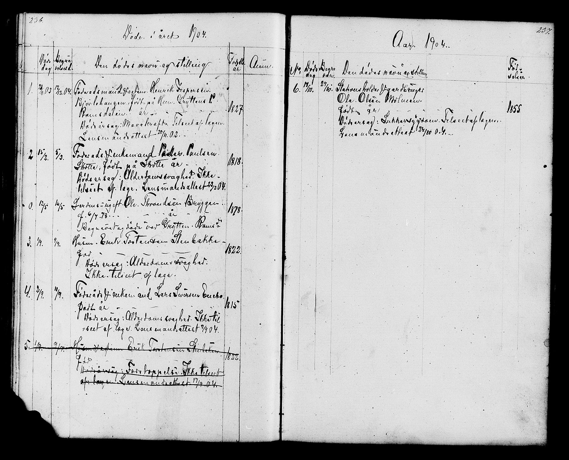 Lesja prestekontor, SAH/PREST-068/H/Ha/Hab/L0006: Parish register (copy) no. 6, 1871-1904, p. 236-237