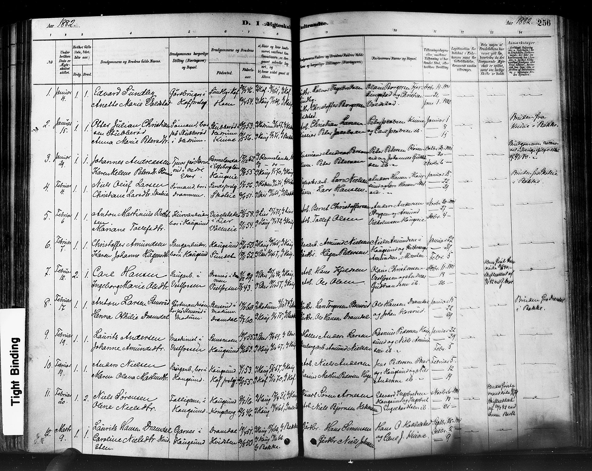 Eiker kirkebøker, SAKO/A-4/F/Fb/L0001: Parish register (official) no. II 1, 1878-1888, p. 256