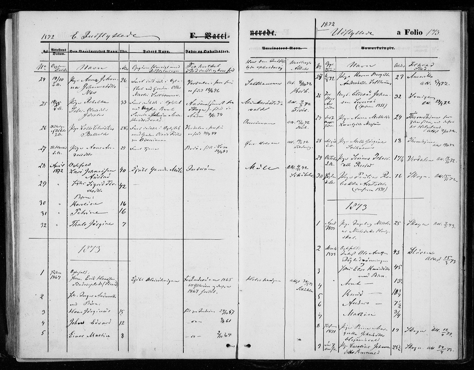 Ministerialprotokoller, klokkerbøker og fødselsregistre - Nord-Trøndelag, AV/SAT-A-1458/721/L0206: Parish register (official) no. 721A01, 1864-1874, p. 173