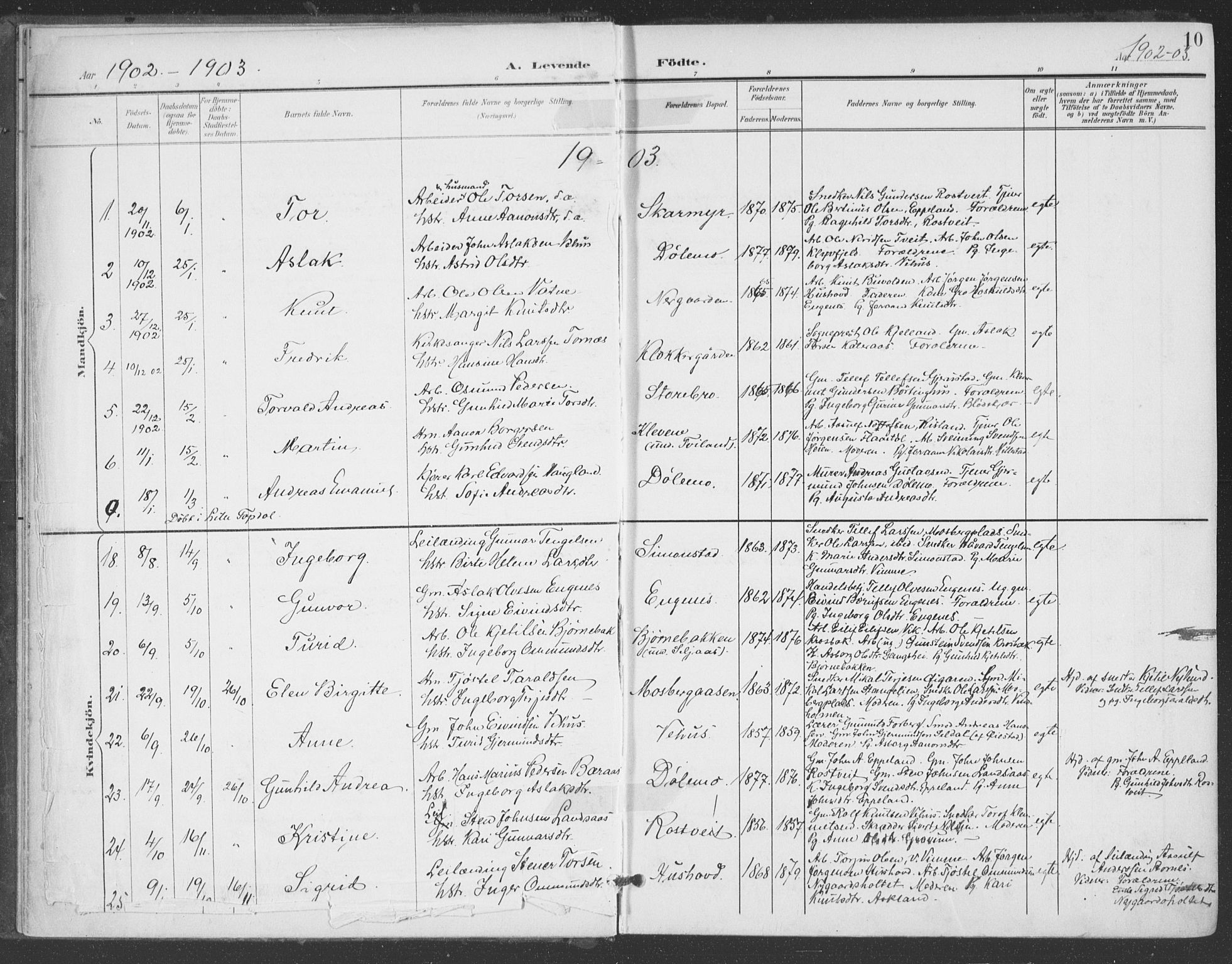 Åmli sokneprestkontor, SAK/1111-0050/F/Fa/Fac/L0012: Parish register (official) no. A 12, 1900-1914, p. 10
