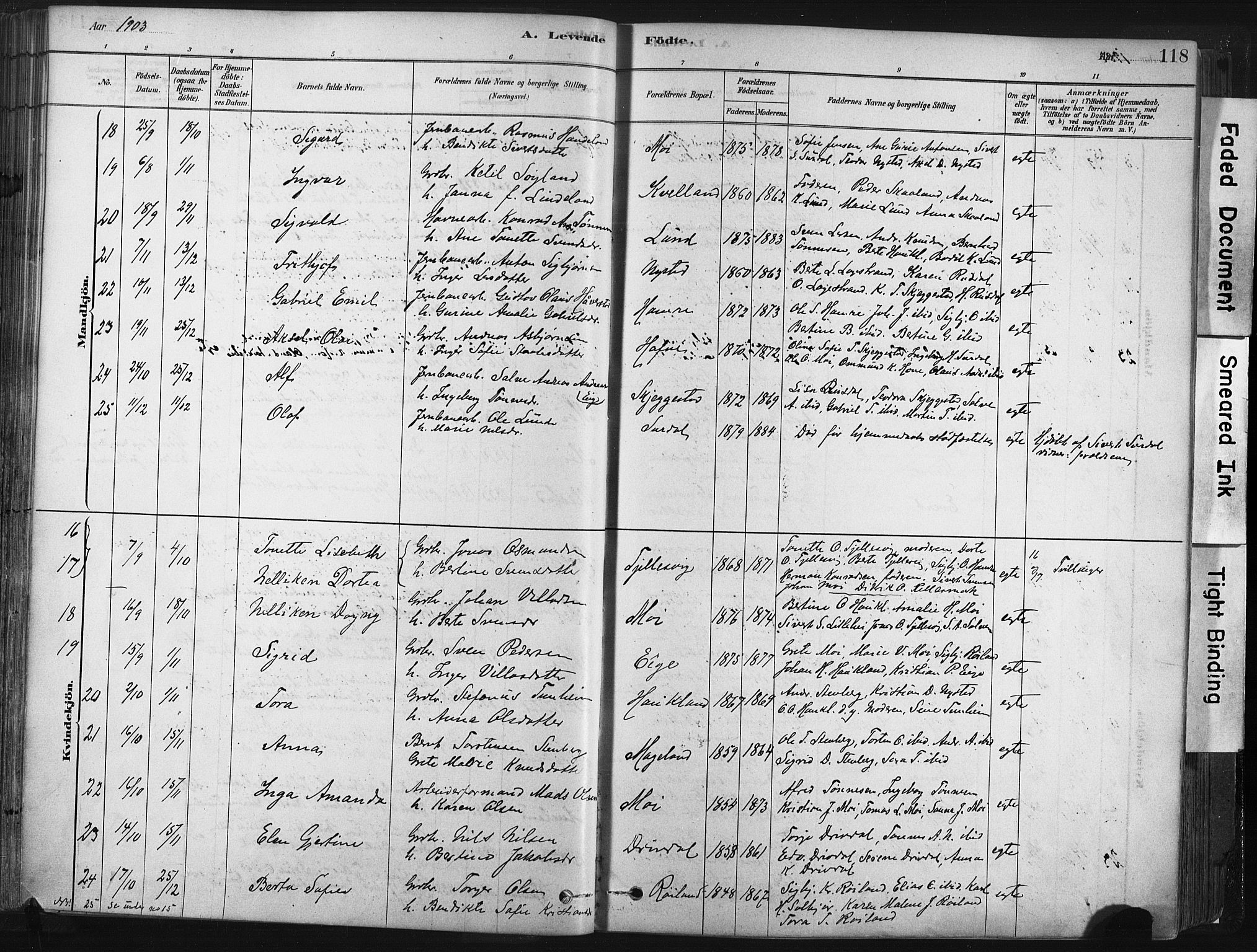 Lund sokneprestkontor, AV/SAST-A-101809/S06/L0011: Parish register (official) no. A 10, 1877-1904, p. 118