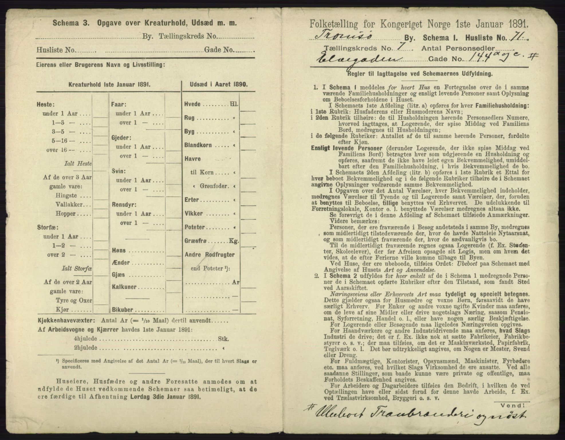 RA, 1891 census for 1902 Tromsø, 1891, p. 6656