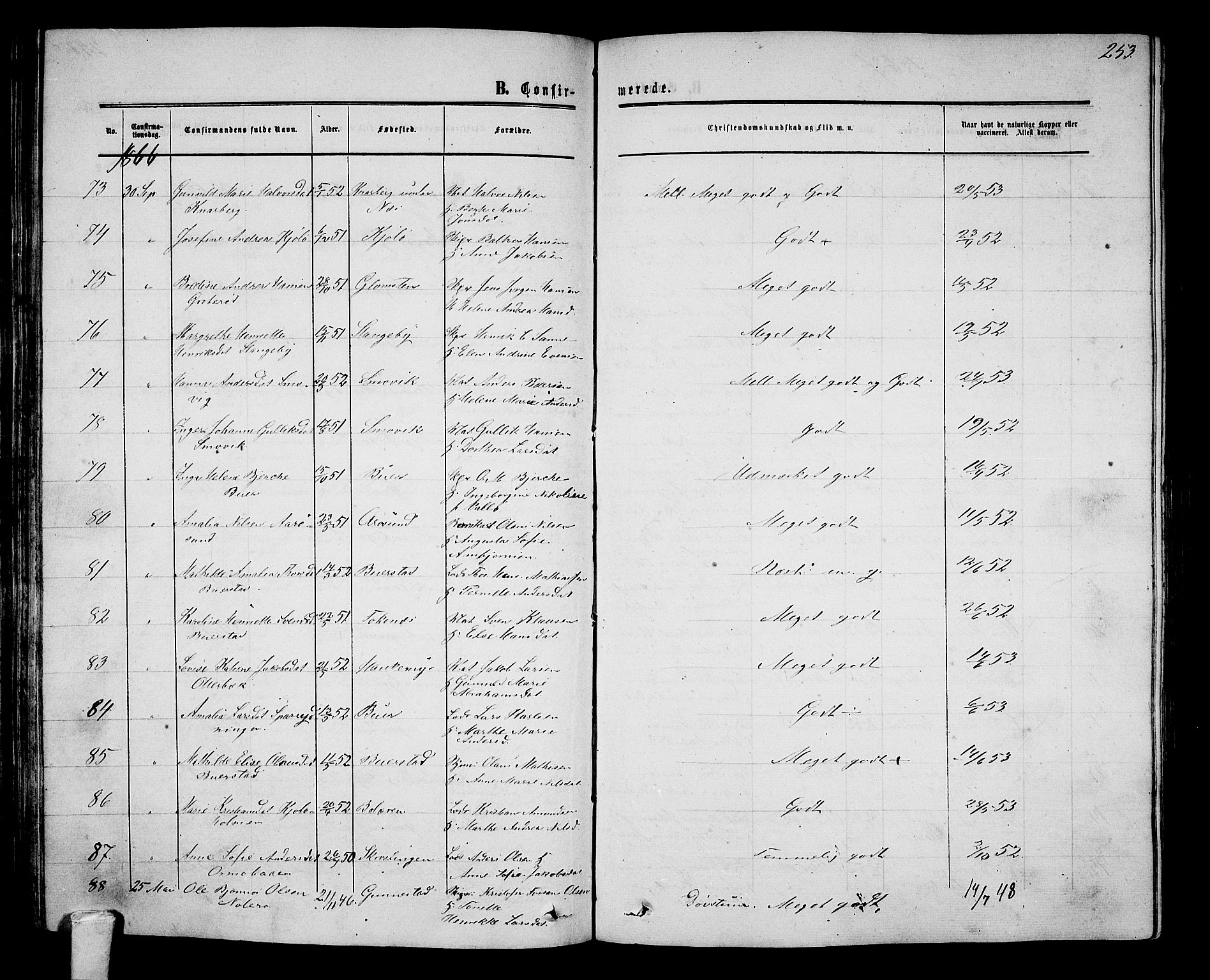 Nøtterøy kirkebøker, AV/SAKO-A-354/G/Ga/L0002: Parish register (copy) no. I 2, 1860-1877, p. 253