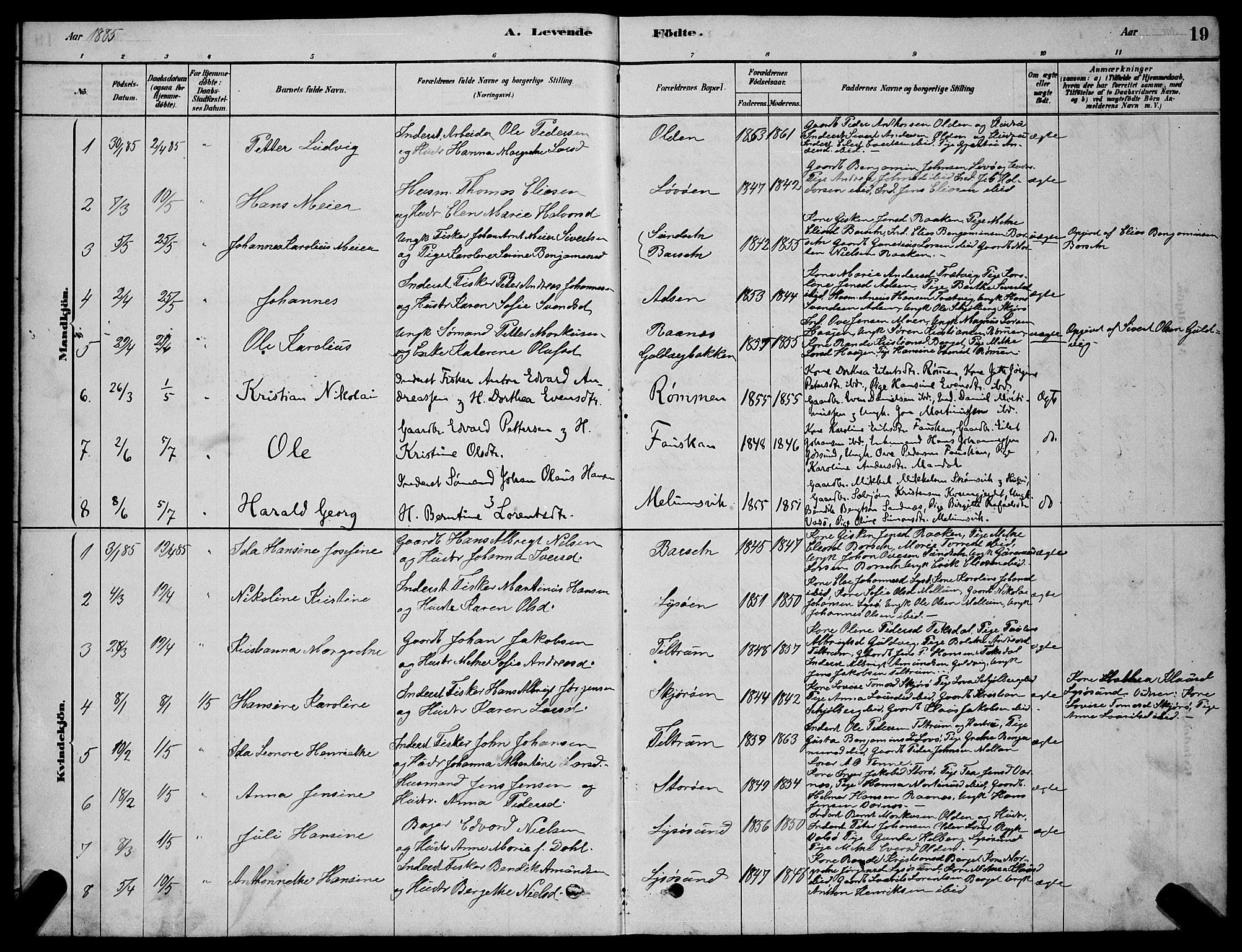 Ministerialprotokoller, klokkerbøker og fødselsregistre - Sør-Trøndelag, SAT/A-1456/654/L0665: Parish register (copy) no. 654C01, 1879-1901, p. 19
