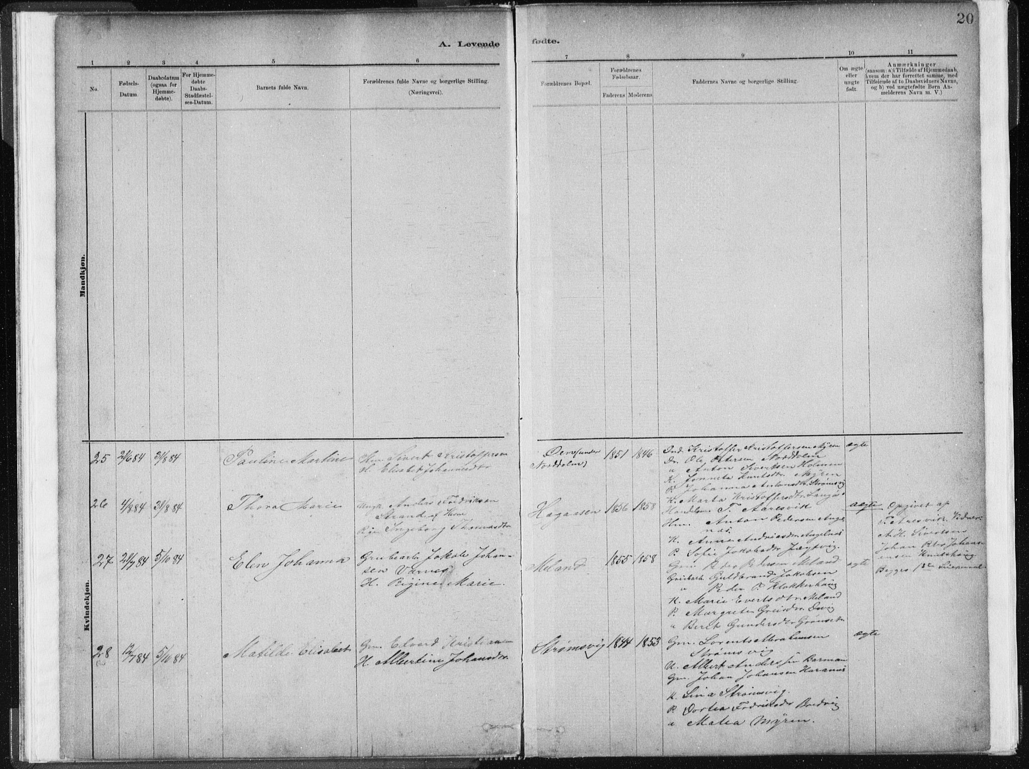 Ministerialprotokoller, klokkerbøker og fødselsregistre - Sør-Trøndelag, SAT/A-1456/634/L0533: Parish register (official) no. 634A09, 1882-1901, p. 20