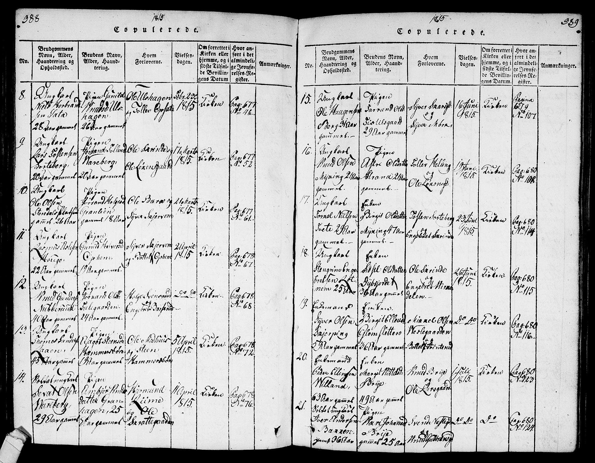 Ål kirkebøker, SAKO/A-249/G/Ga/L0001: Parish register (copy) no. 1, 1815-1829, p. 388-389