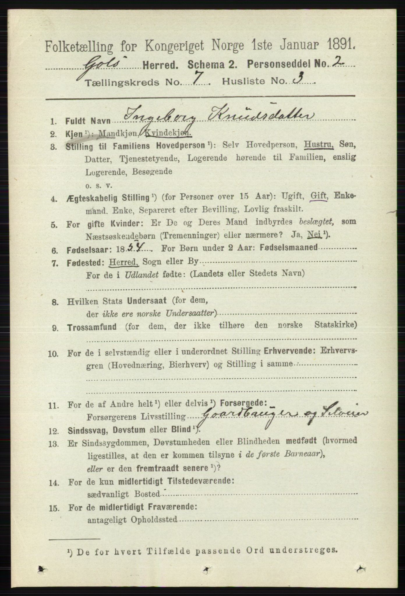 RA, 1891 census for 0617 Gol og Hemsedal, 1891, p. 2813