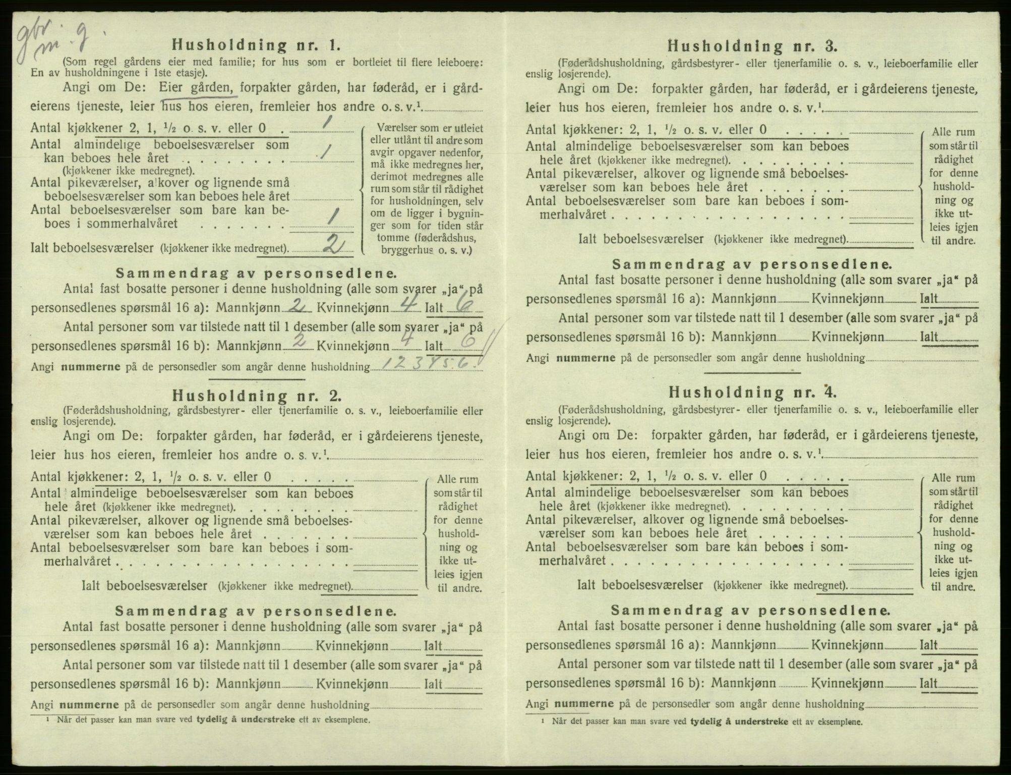 SAB, 1920 census for Eidfjord, 1920, p. 199