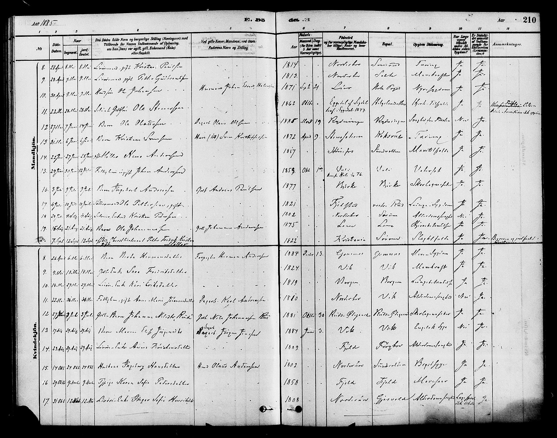 Hole kirkebøker, SAKO/A-228/F/Fa/L0008: Parish register (official) no. I 8, 1878-1891, p. 210