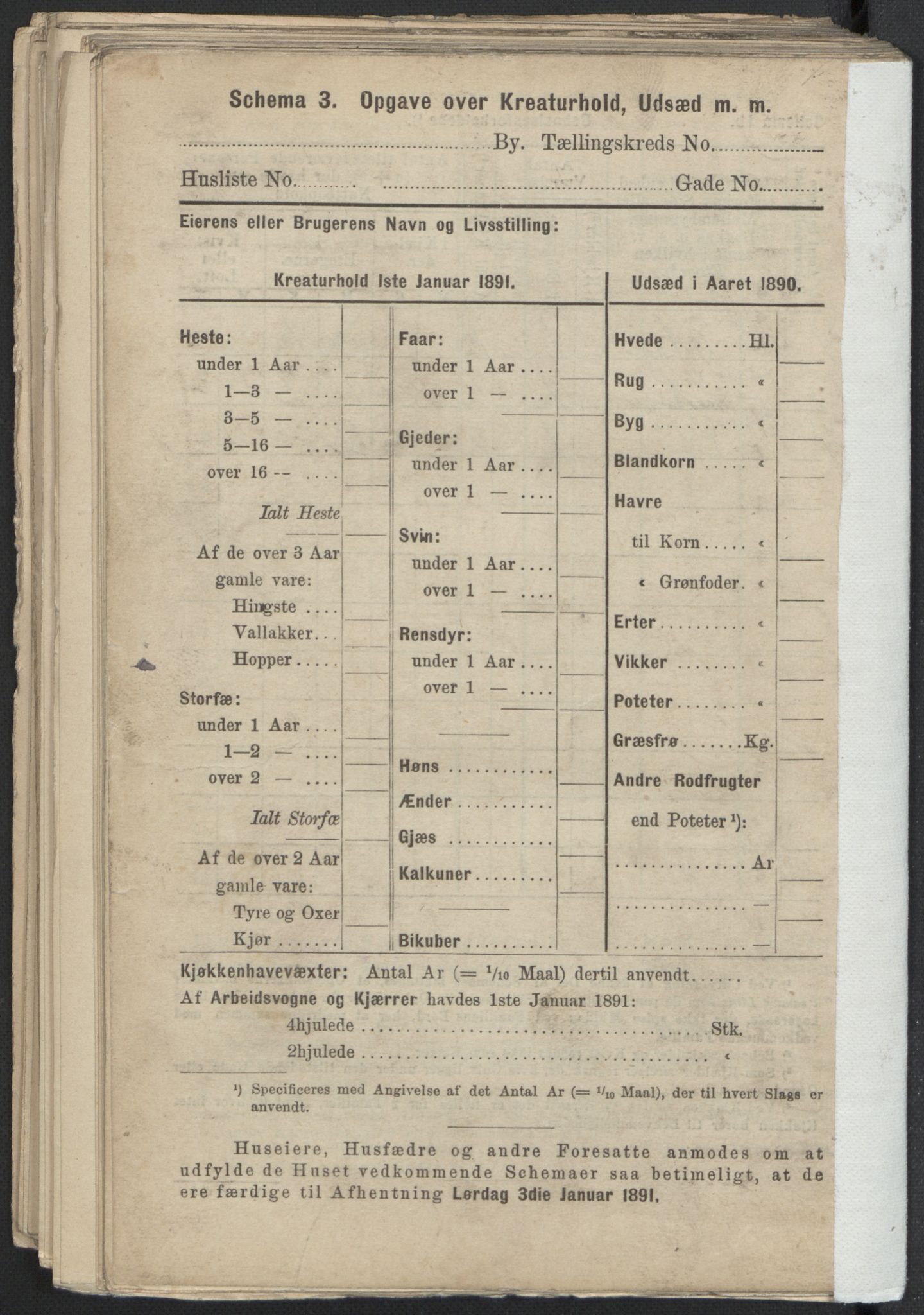 RA, 1891 Census for 1301 Bergen, 1891, p. 5170
