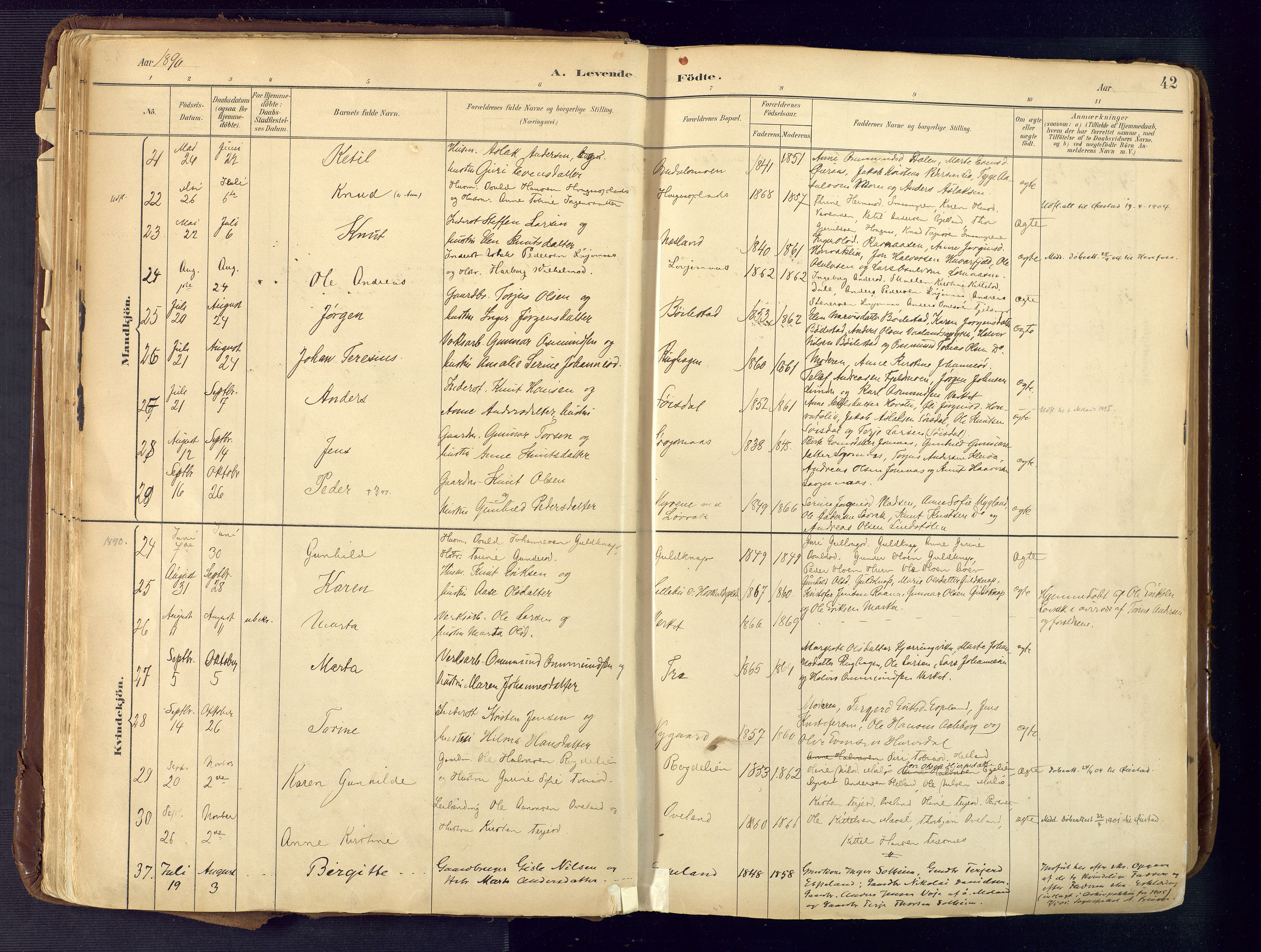 Froland sokneprestkontor, AV/SAK-1111-0013/F/Fa/L0005: Parish register (official) no. A 5, 1882-1921, p. 42