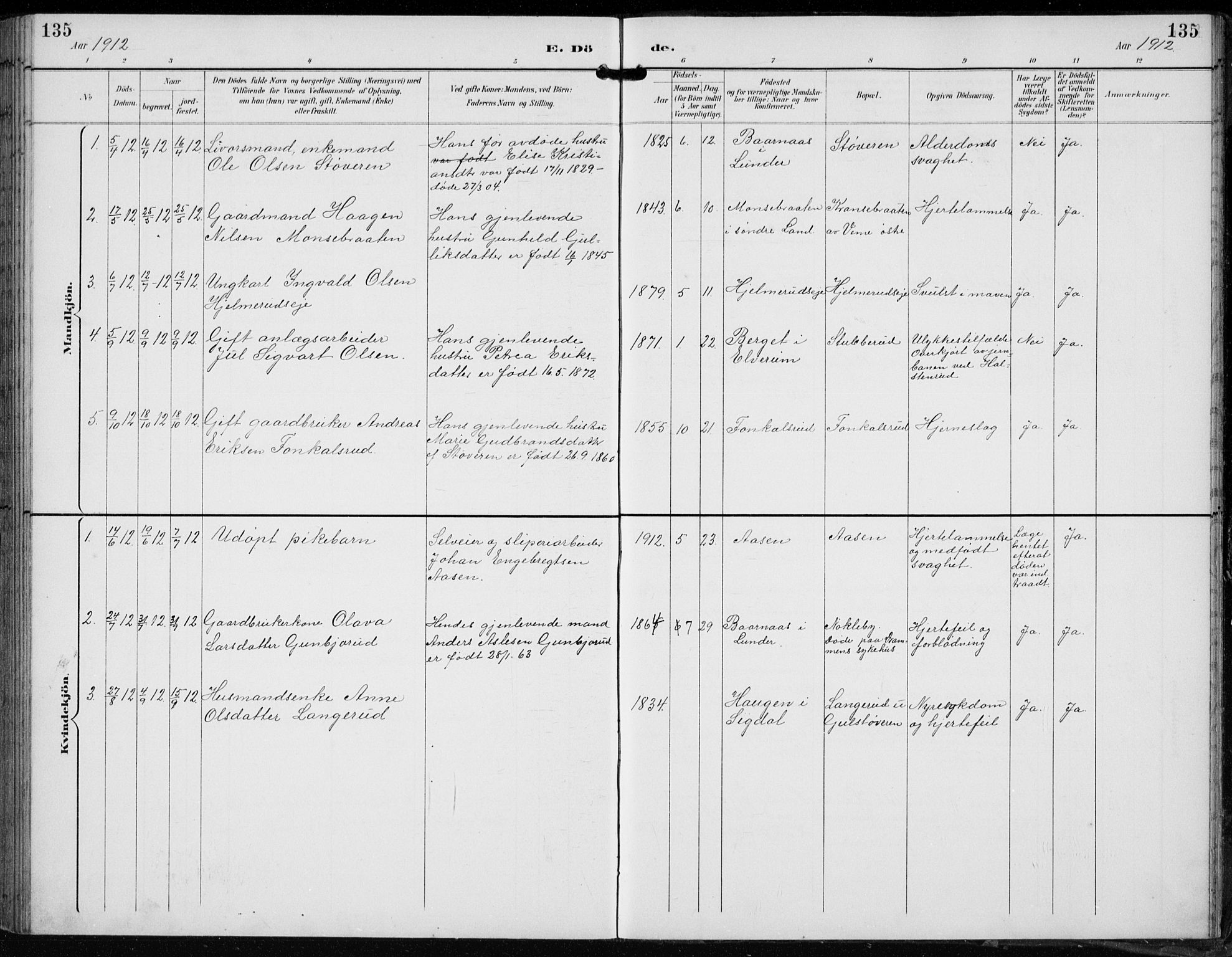 Lunder kirkebøker, AV/SAKO-A-629/F/Fb/L0001: Parish register (official) no. II 1, 1893-1916, p. 135