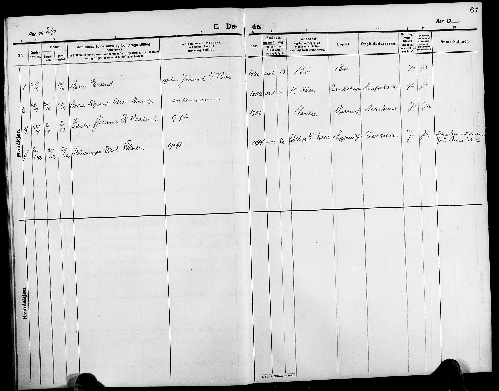 Bygland sokneprestkontor, AV/SAK-1111-0006/F/Fb/Fbd/L0003: Parish register (copy) no. B 3, 1910-1926, p. 67