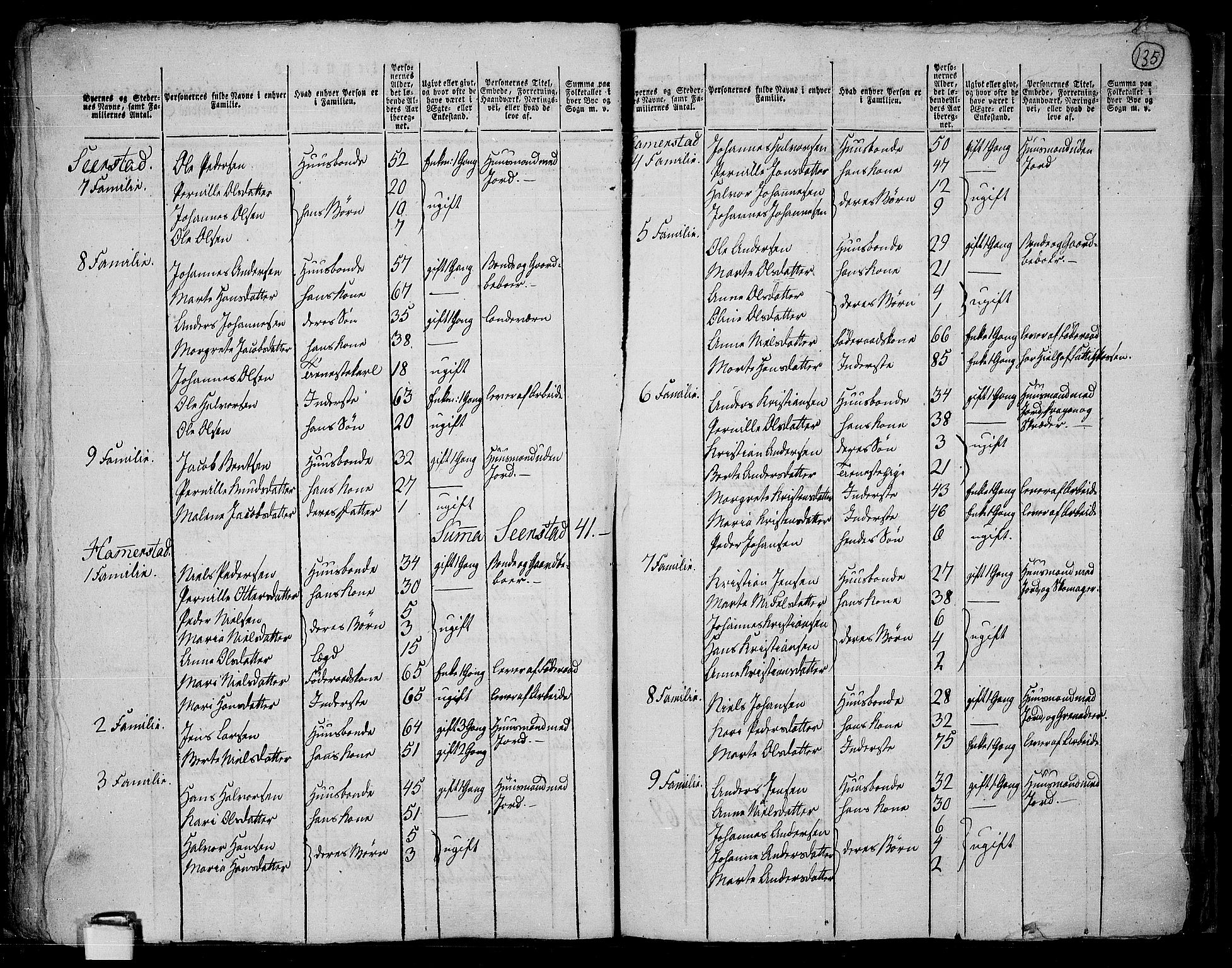 RA, 1801 census for 0528P Toten, 1801, p. 134b-135a