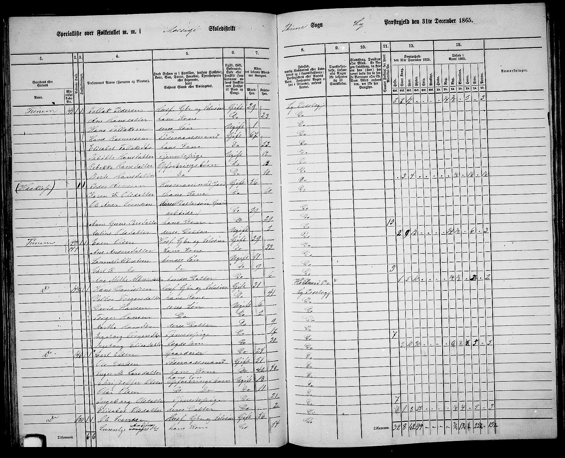 RA, 1865 census for Lye, 1865, p. 86