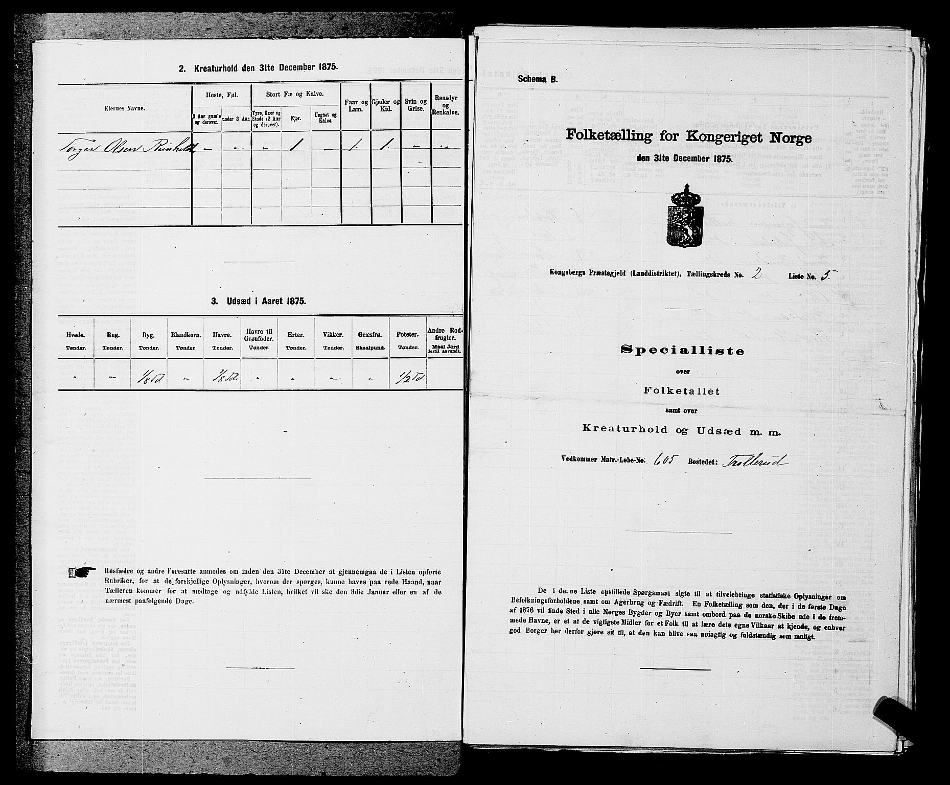 SAKO, 1875 census for 0692L Kongsberg/Kongsberg, 1875, p. 65