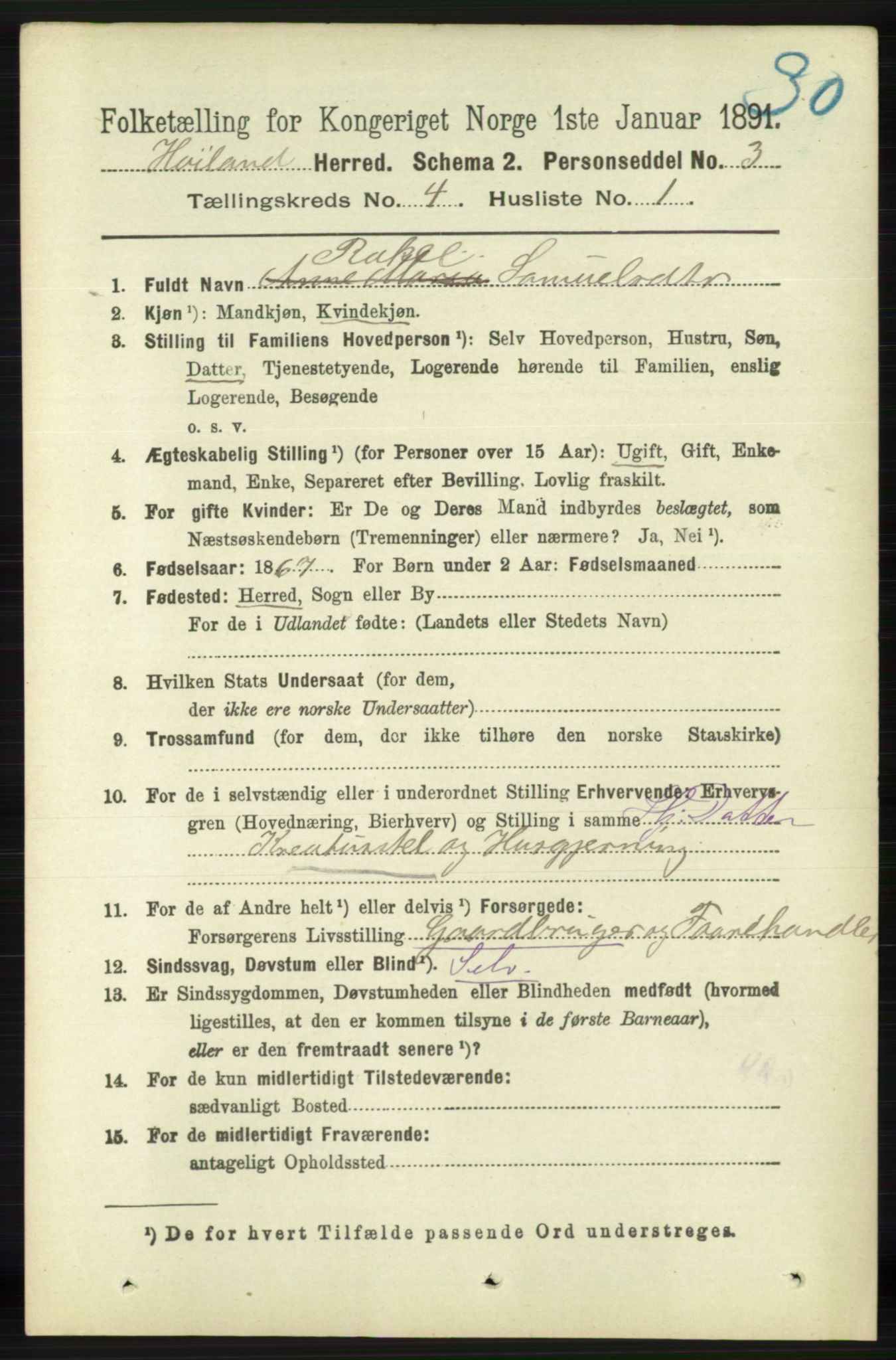 RA, 1891 census for 1123 Høyland, 1891, p. 1029