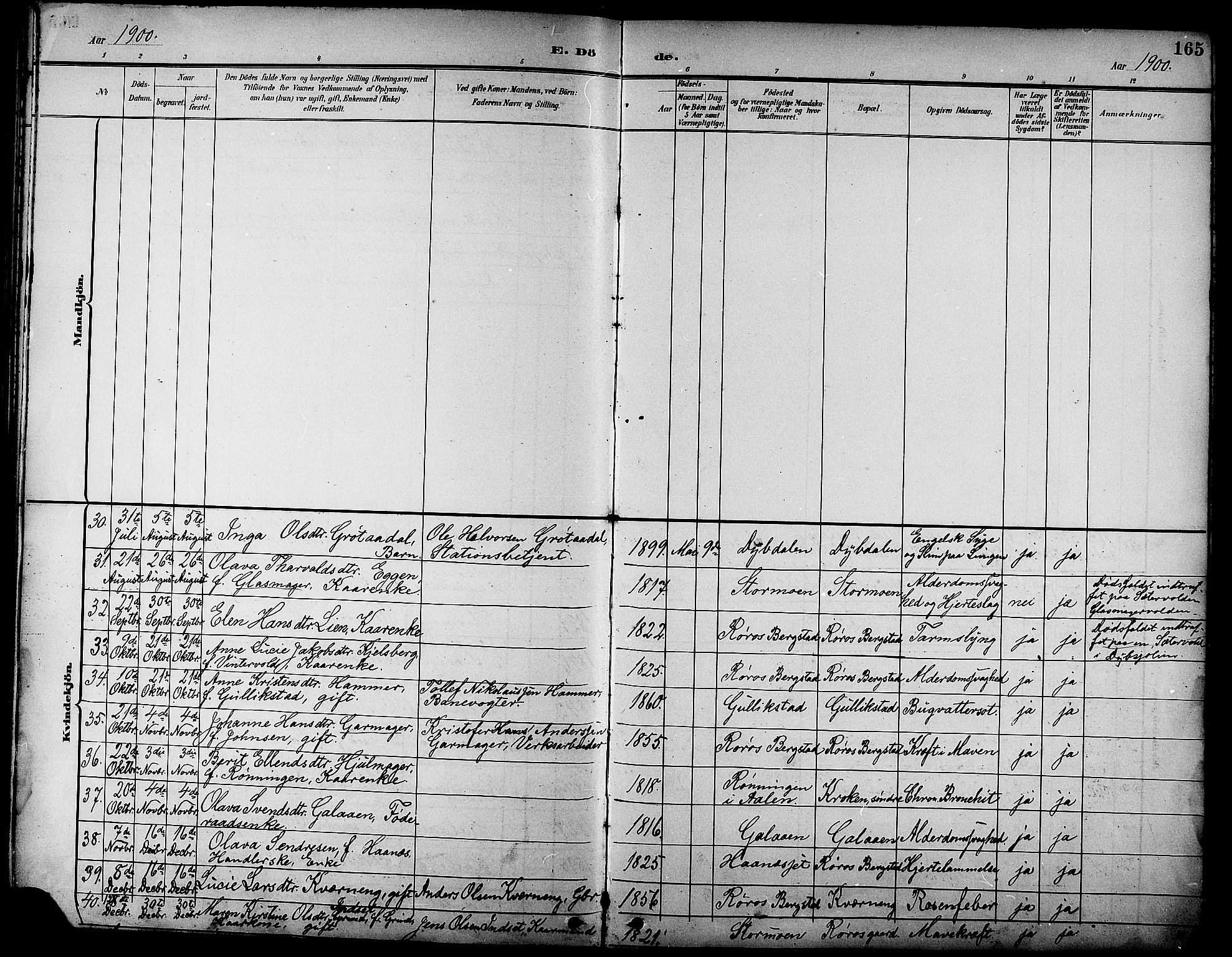 Ministerialprotokoller, klokkerbøker og fødselsregistre - Sør-Trøndelag, SAT/A-1456/681/L0941: Parish register (copy) no. 681C05, 1896-1905, p. 165