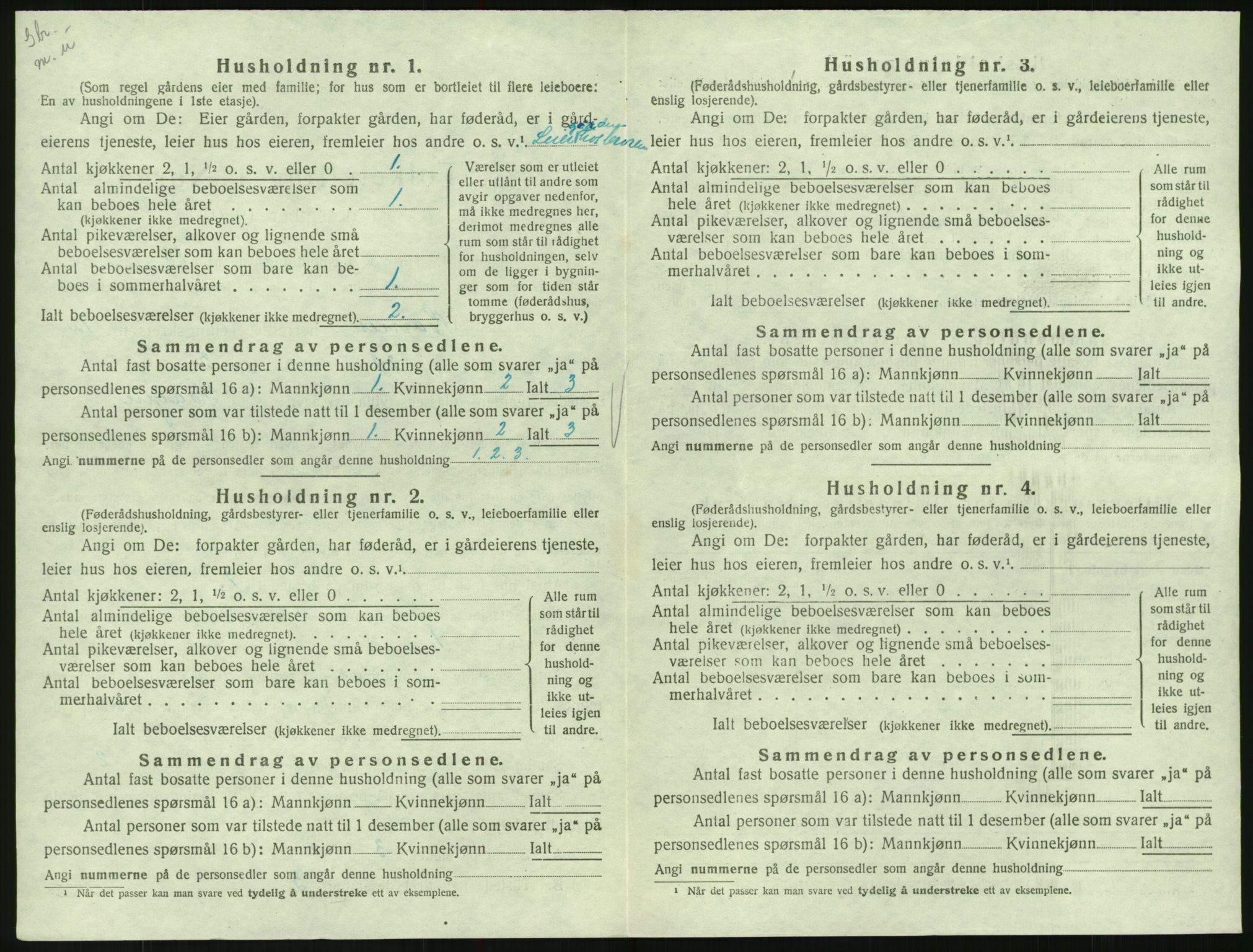 SAK, 1920 census for Hornnes, 1920, p. 502