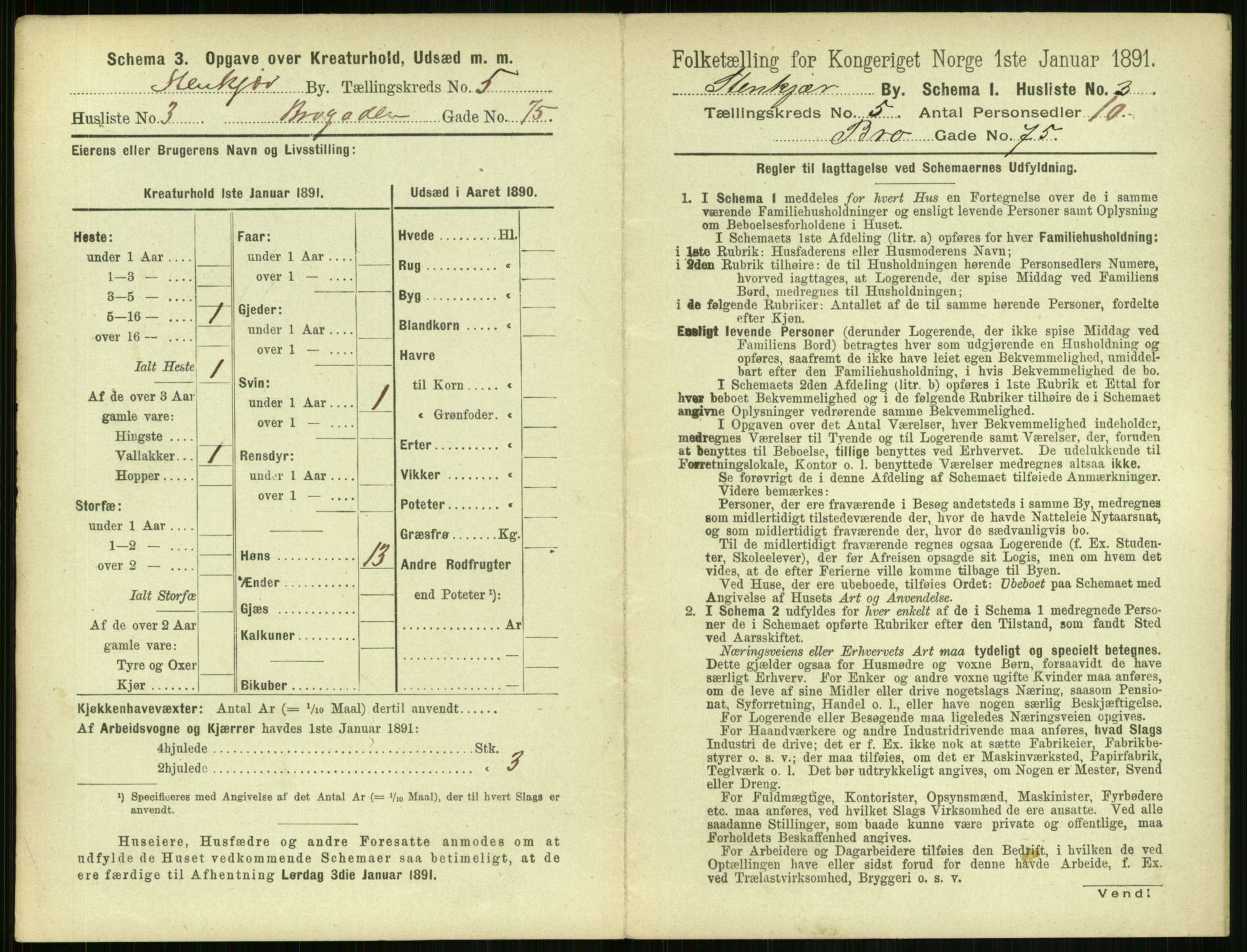 RA, 1891 census for 1702 Steinkjer, 1891, p. 1723