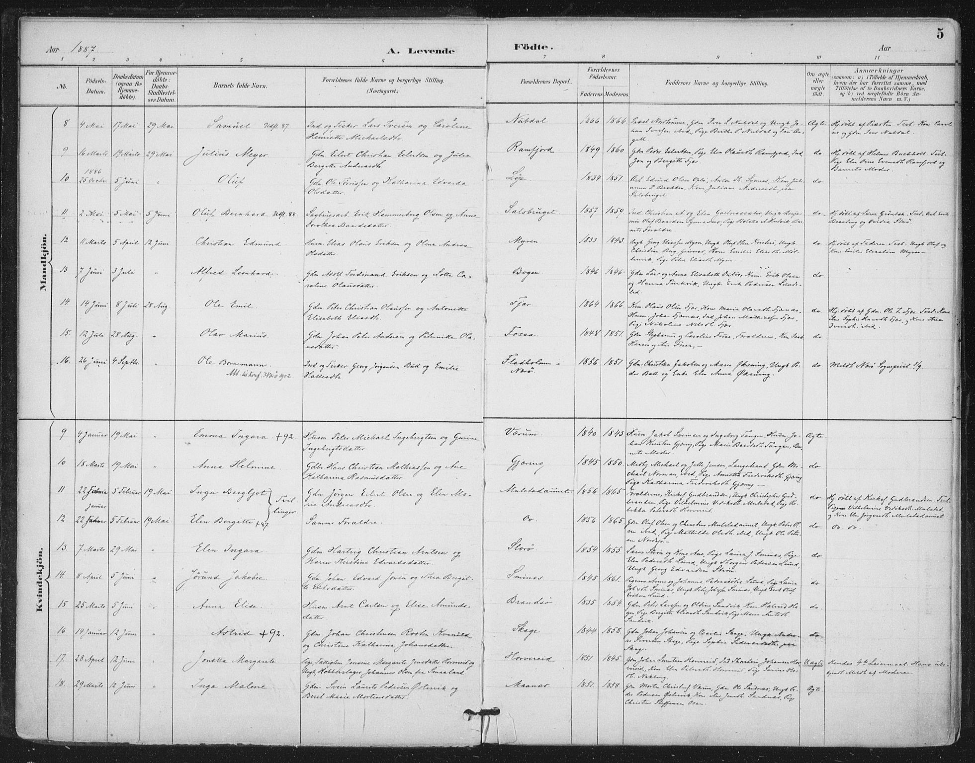 Ministerialprotokoller, klokkerbøker og fødselsregistre - Nord-Trøndelag, SAT/A-1458/780/L0644: Parish register (official) no. 780A08, 1886-1903, p. 5
