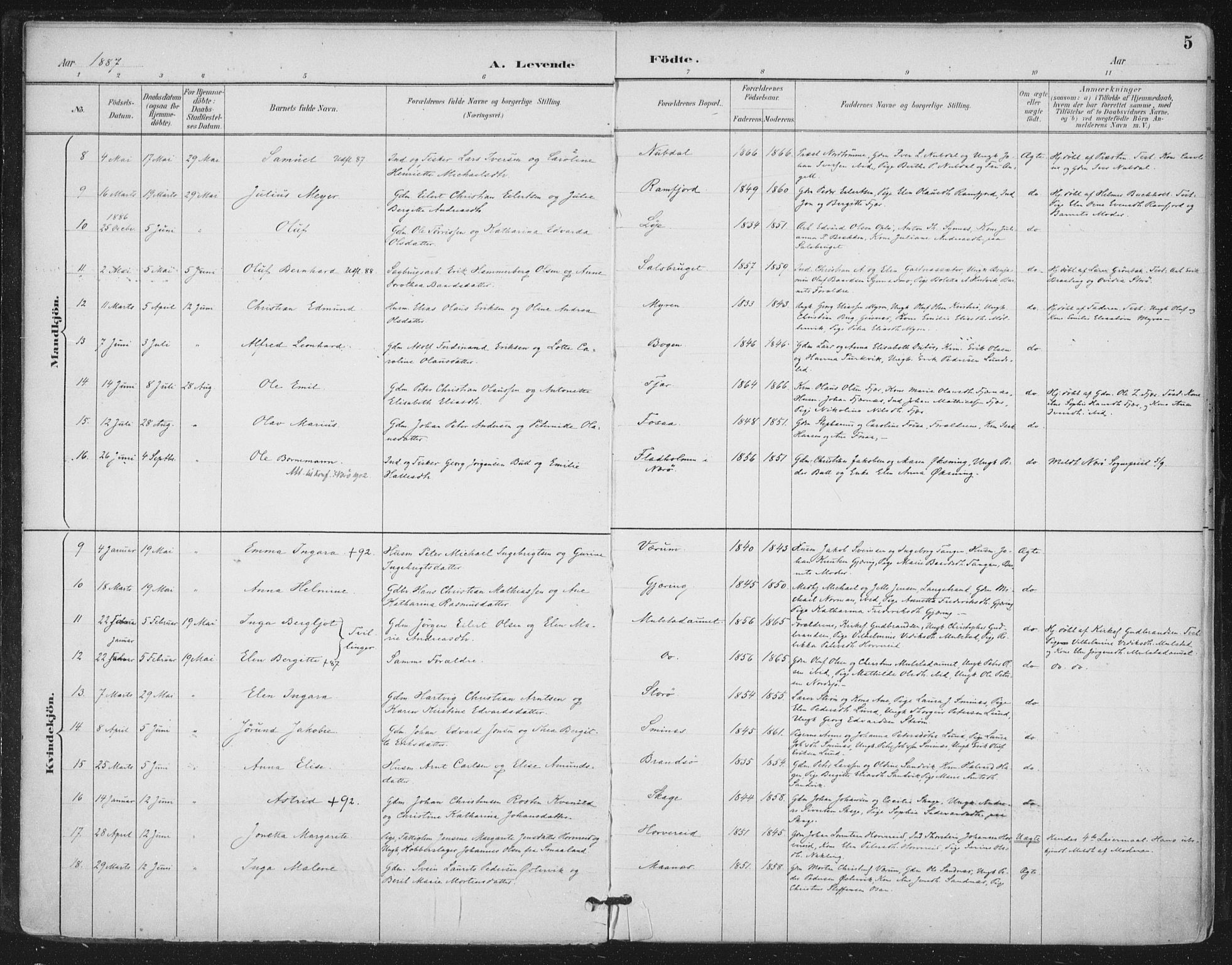 Ministerialprotokoller, klokkerbøker og fødselsregistre - Nord-Trøndelag, AV/SAT-A-1458/780/L0644: Parish register (official) no. 780A08, 1886-1903, p. 5