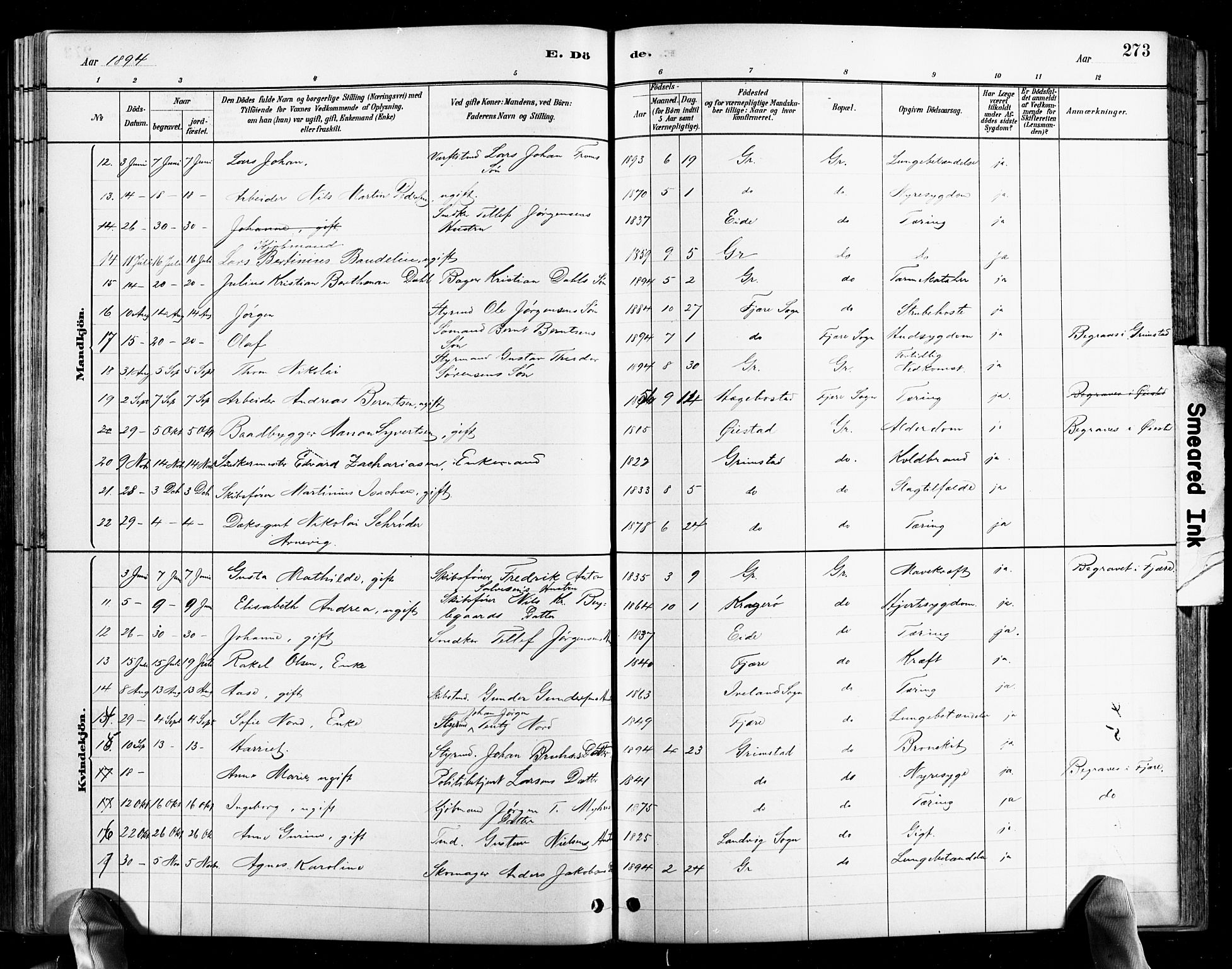 Grimstad sokneprestkontor, AV/SAK-1111-0017/F/Fb/L0001: Parish register (copy) no. B 1, 1881-1922, p. 273