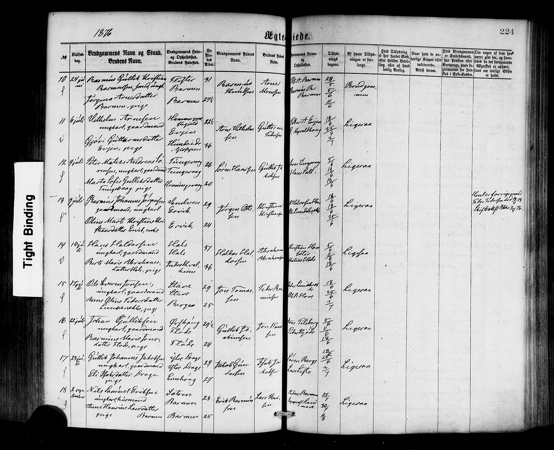 Selje sokneprestembete, SAB/A-99938/H/Ha/Haa/Haaa: Parish register (official) no. A 12, 1870-1880, p. 224