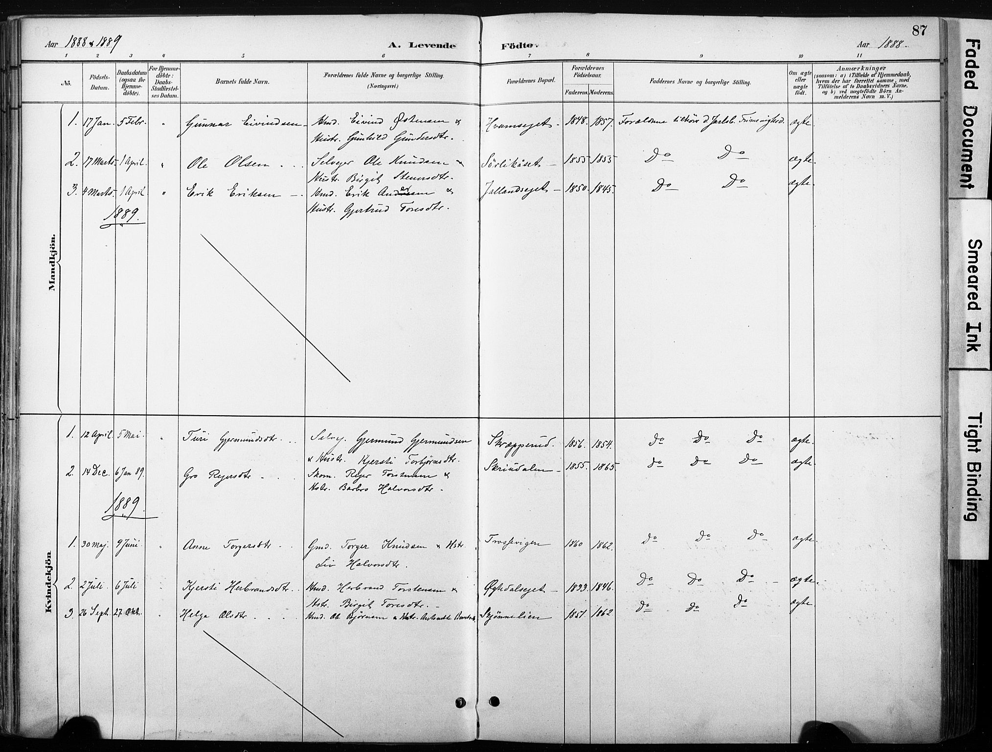 Nore kirkebøker, SAKO/A-238/F/Fb/L0002: Parish register (official) no. II 2, 1886-1906, p. 87