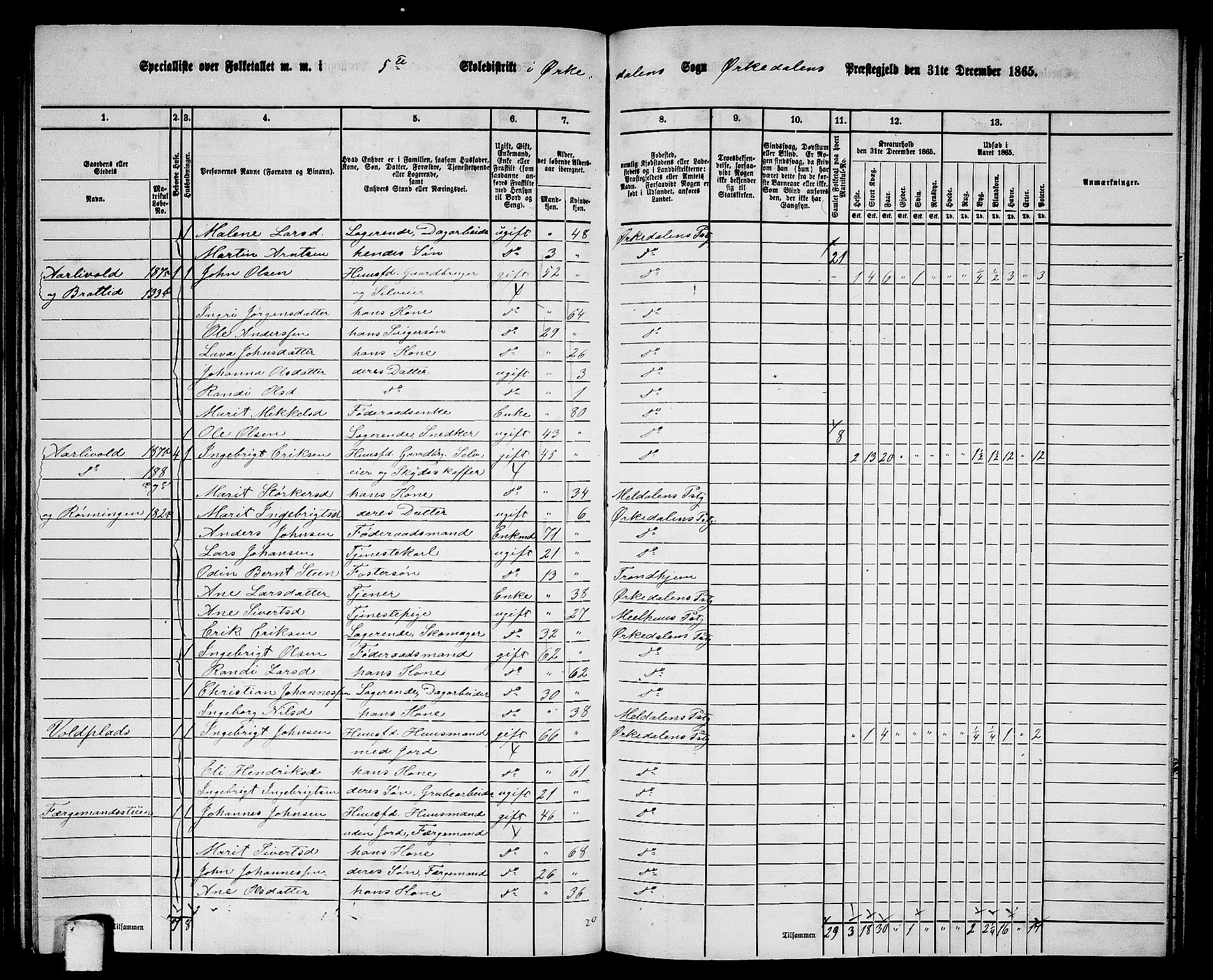 RA, 1865 census for Orkdal, 1865, p. 170