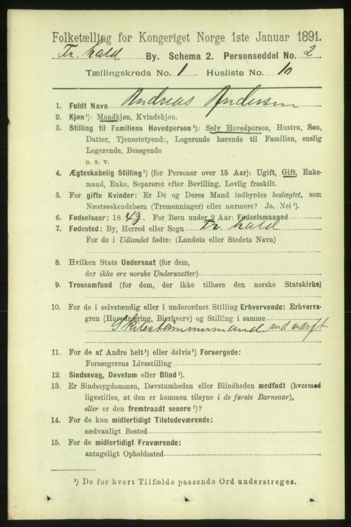 RA, 1891 census for 0101 Fredrikshald, 1891, p. 2004