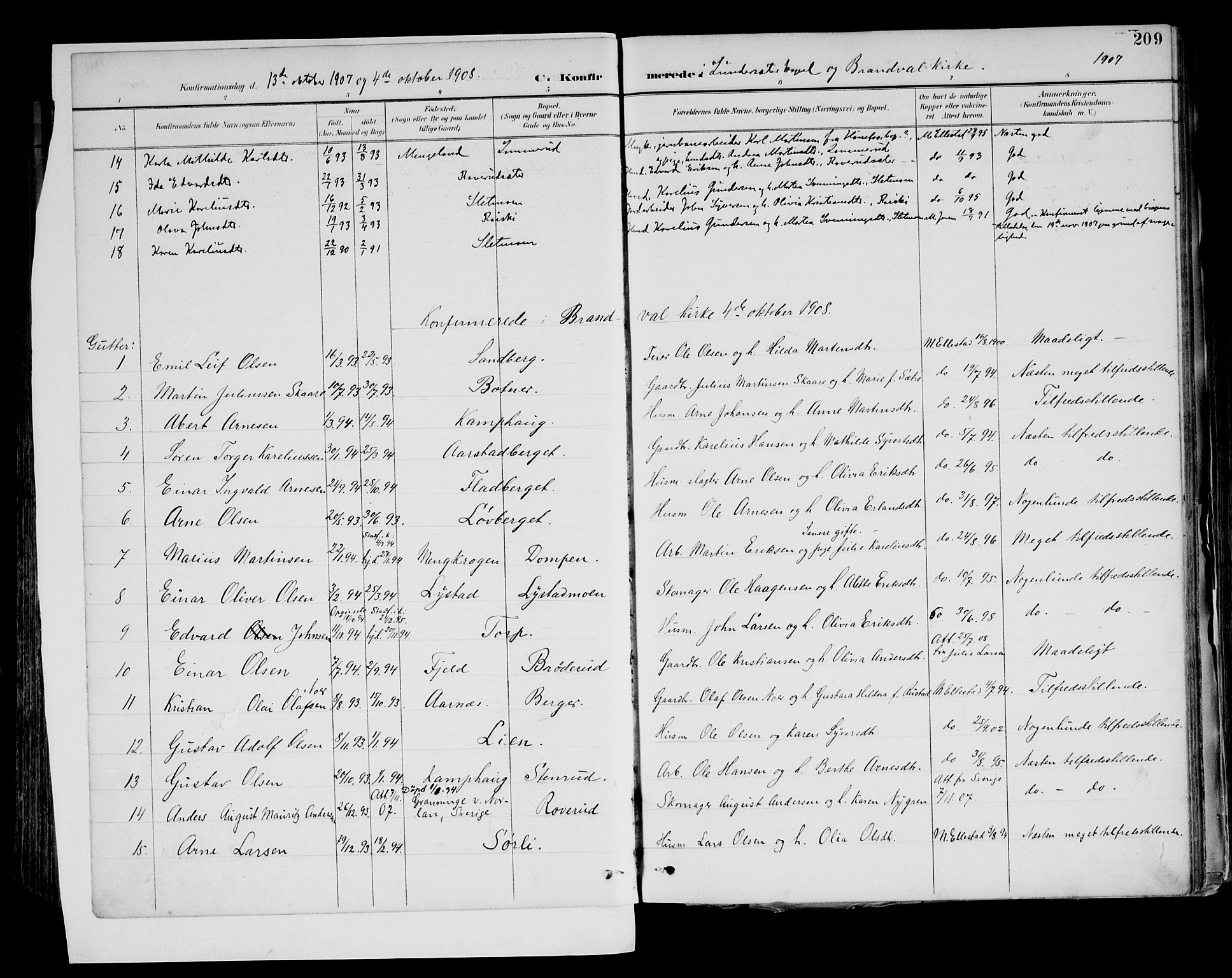 Brandval prestekontor, SAH/PREST-034/H/Ha/Haa/L0003: Parish register (official) no. 3, 1894-1909, p. 209