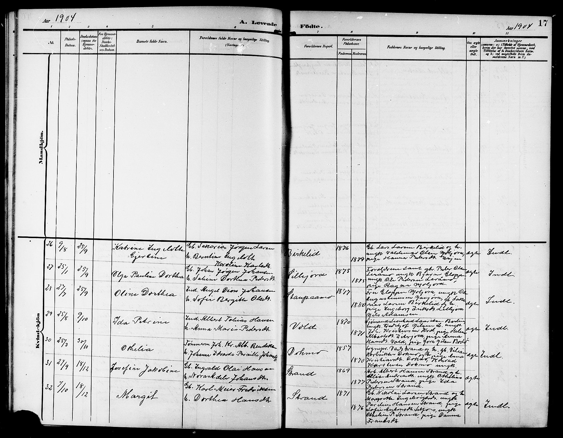 Ministerialprotokoller, klokkerbøker og fødselsregistre - Nordland, AV/SAT-A-1459/846/L0655: Parish register (copy) no. 846C05, 1902-1916, p. 17