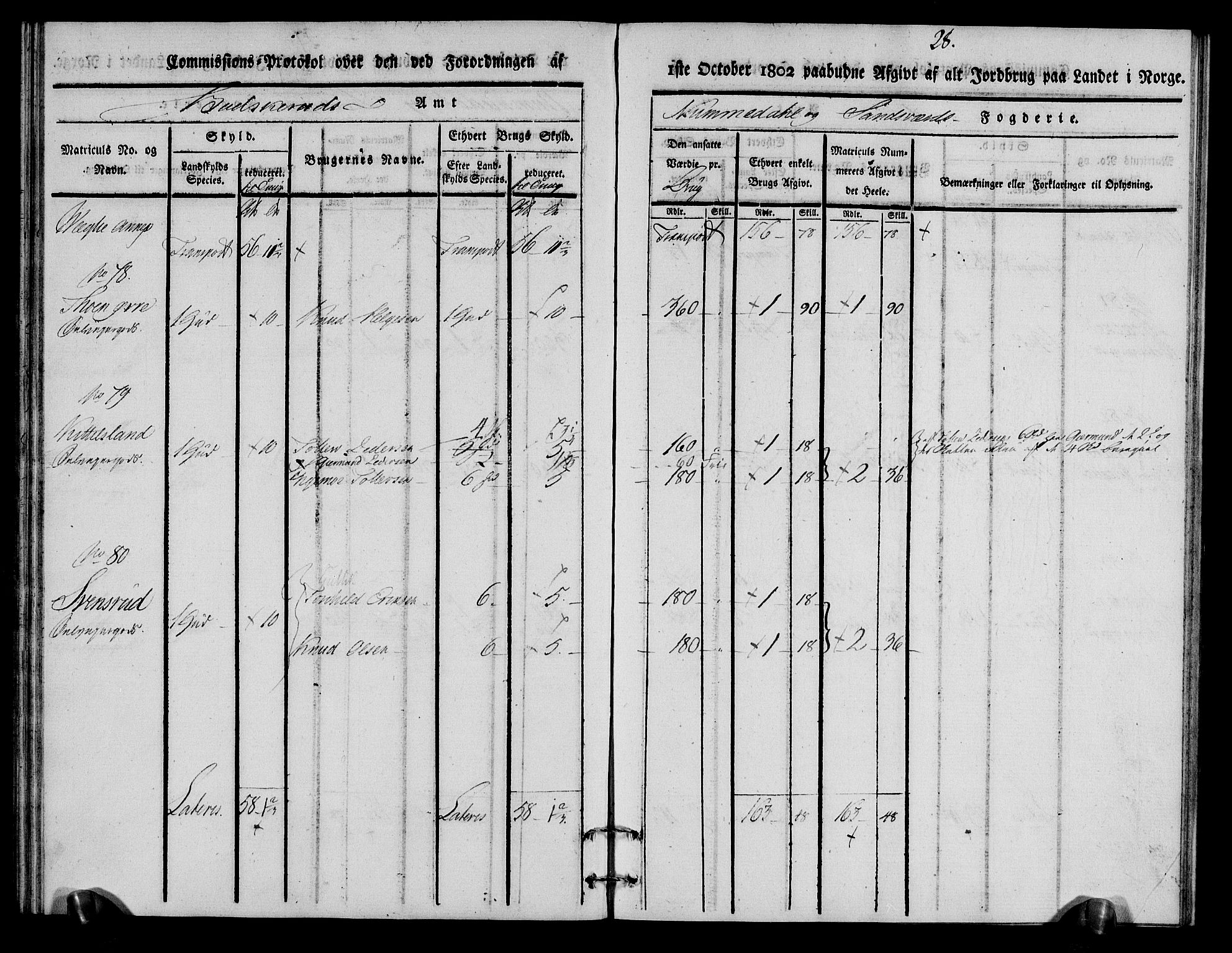 Rentekammeret inntil 1814, Realistisk ordnet avdeling, RA/EA-4070/N/Ne/Nea/L0056a: Numedal og Sandsvær fogderi. Kommisjonsprotokoll for Rollag hovedsogn og Veggli anneks, 1803, p. 29