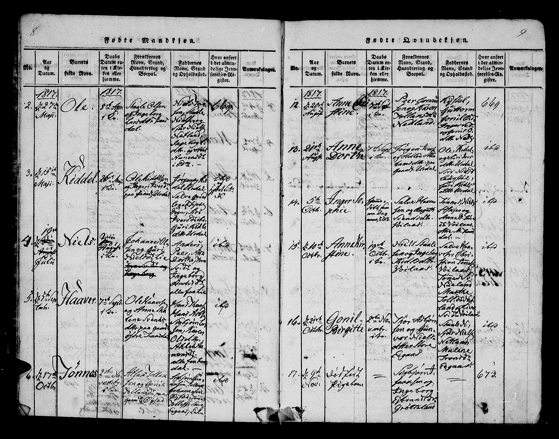 Bakke sokneprestkontor, AV/SAK-1111-0002/F/Fa/Fab/L0001: Parish register (official) no. A 1, 1815-1835, p. 8-9