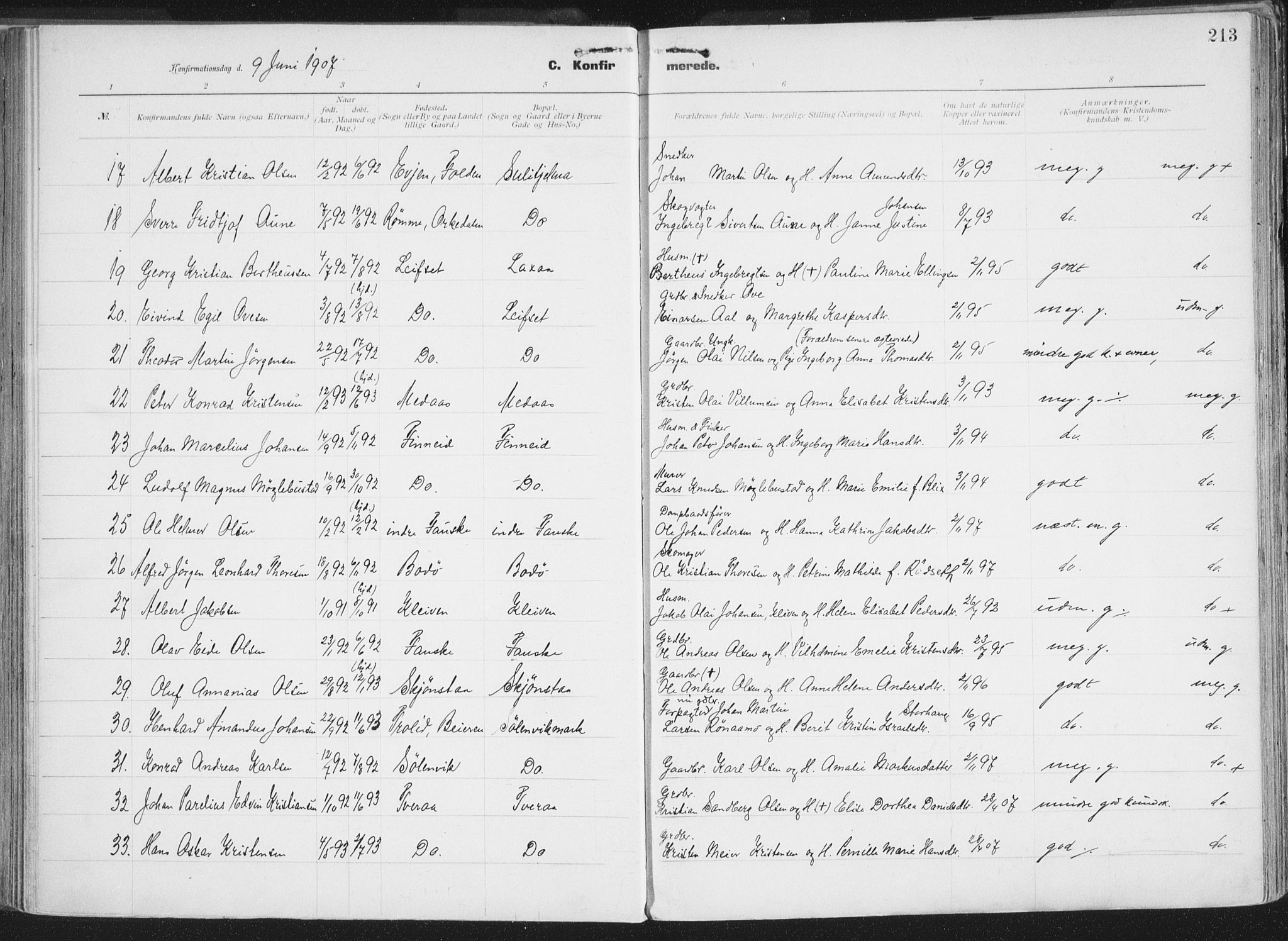 Ministerialprotokoller, klokkerbøker og fødselsregistre - Nordland, AV/SAT-A-1459/849/L0696: Parish register (official) no. 849A08, 1898-1910, p. 213