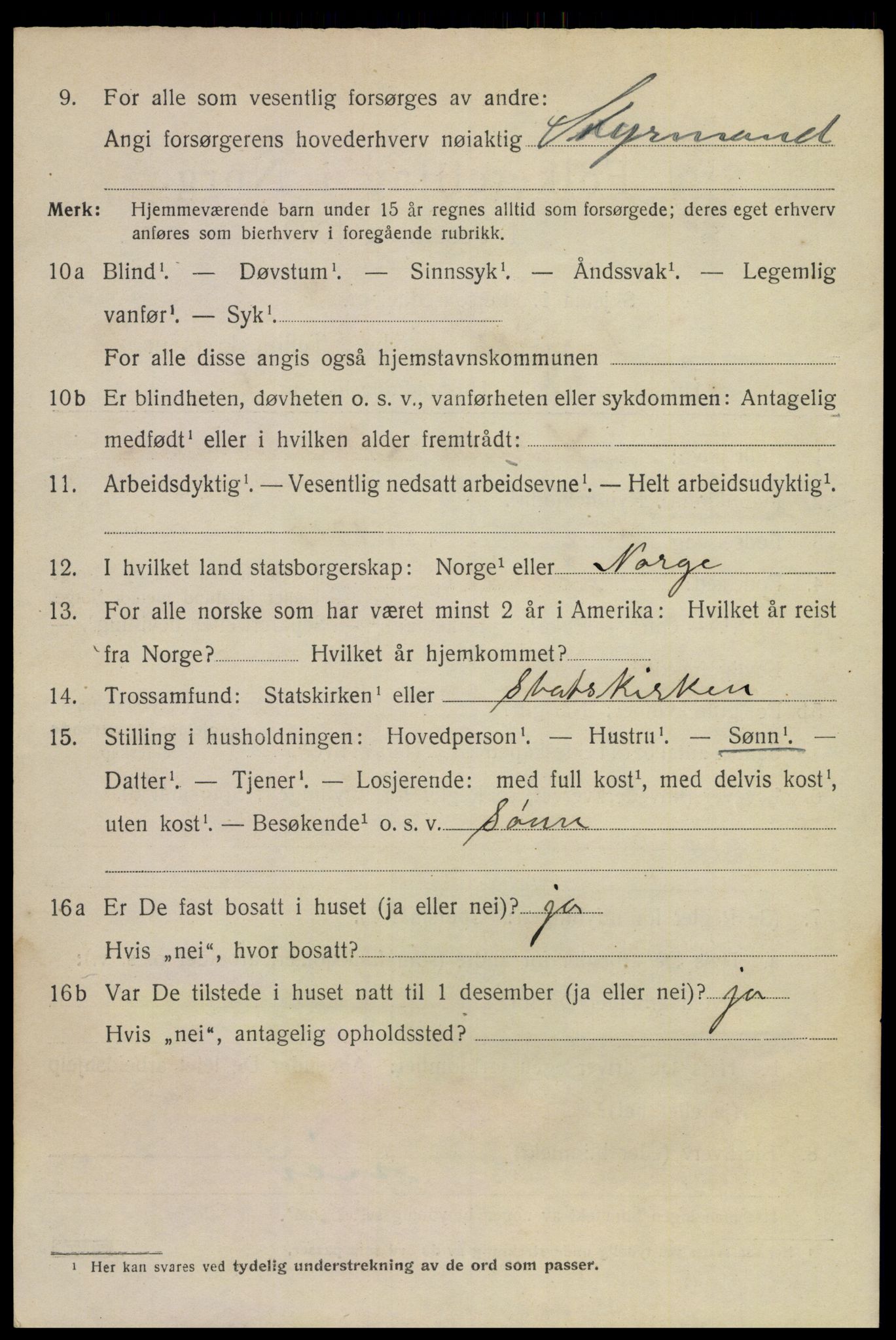 SAKO, 1920 census for Larvik, 1920, p. 31033