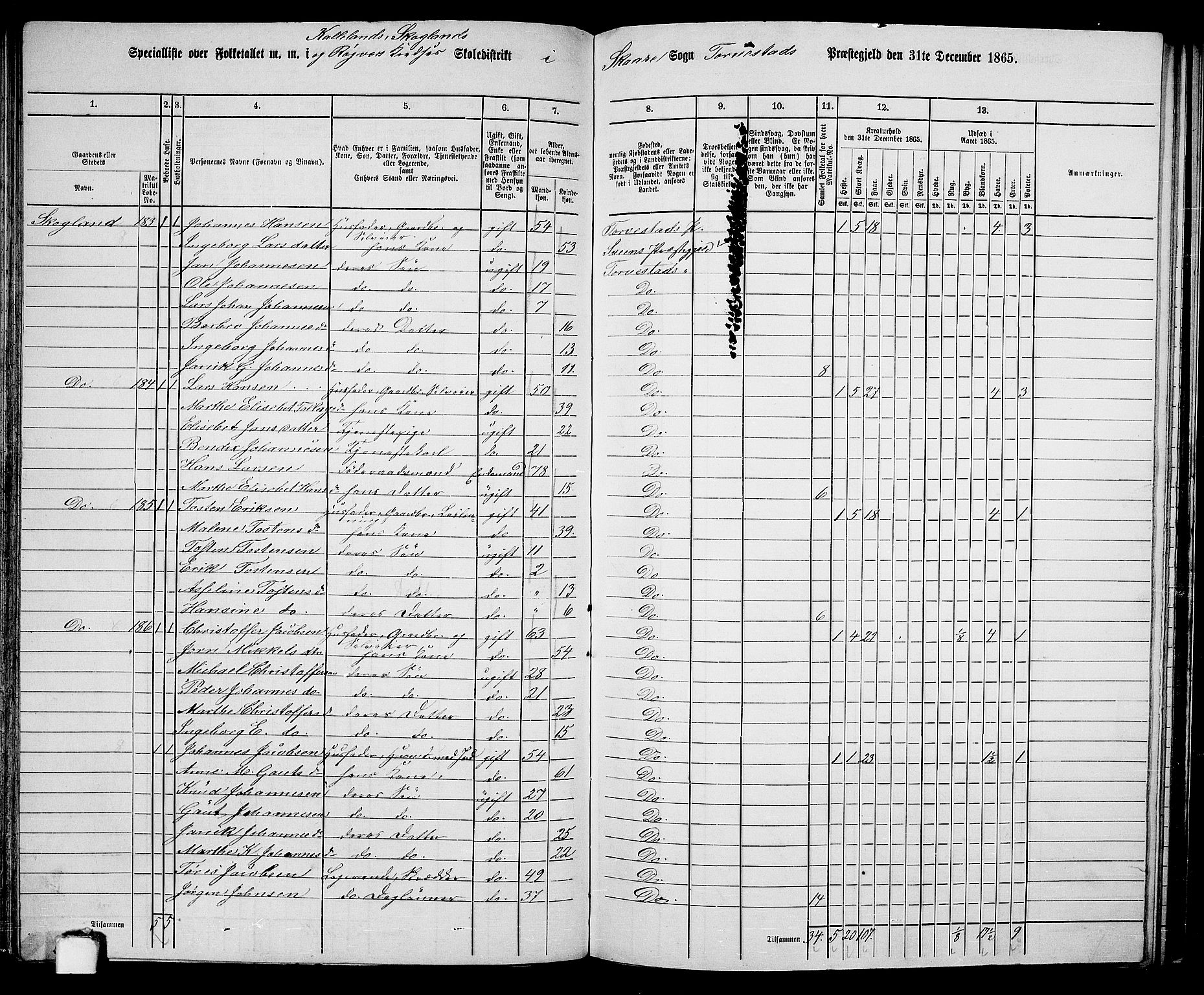 RA, 1865 census for Torvastad/Torvastad, Skåre og Utsira, 1865, p. 115