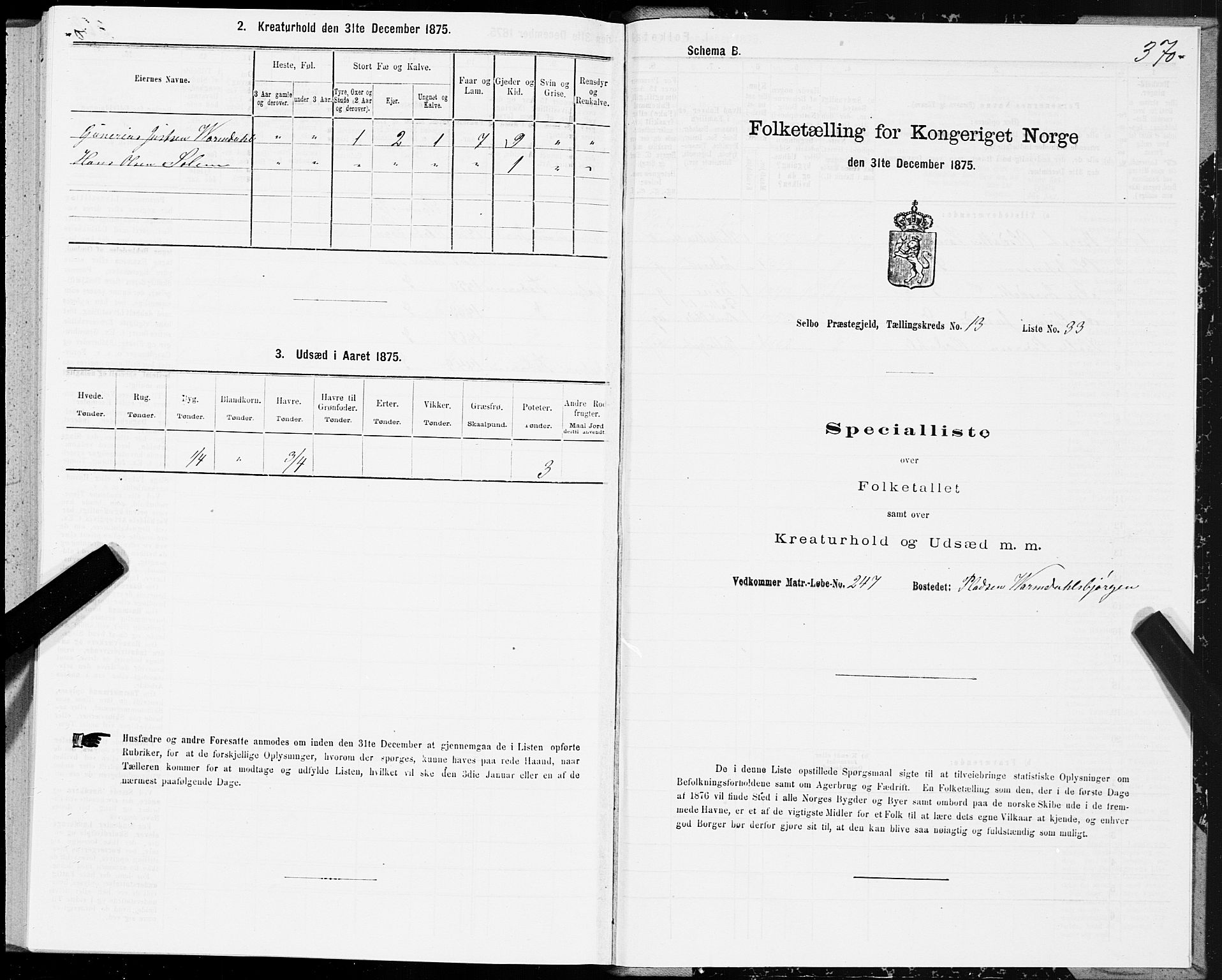 SAT, 1875 census for 1664P Selbu, 1875, p. 6370