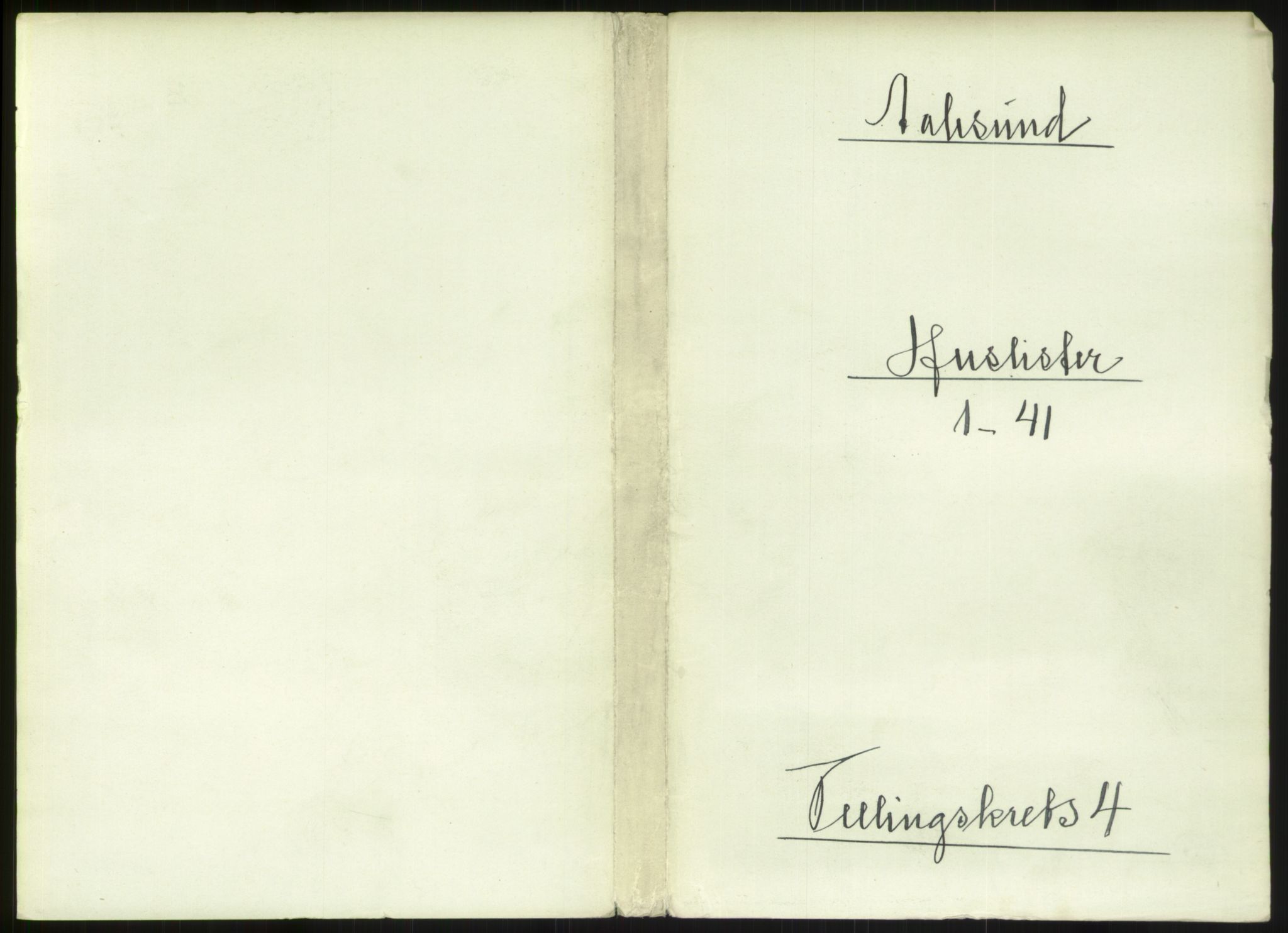 RA, 1891 census for 1501 Ålesund, 1891, p. 294