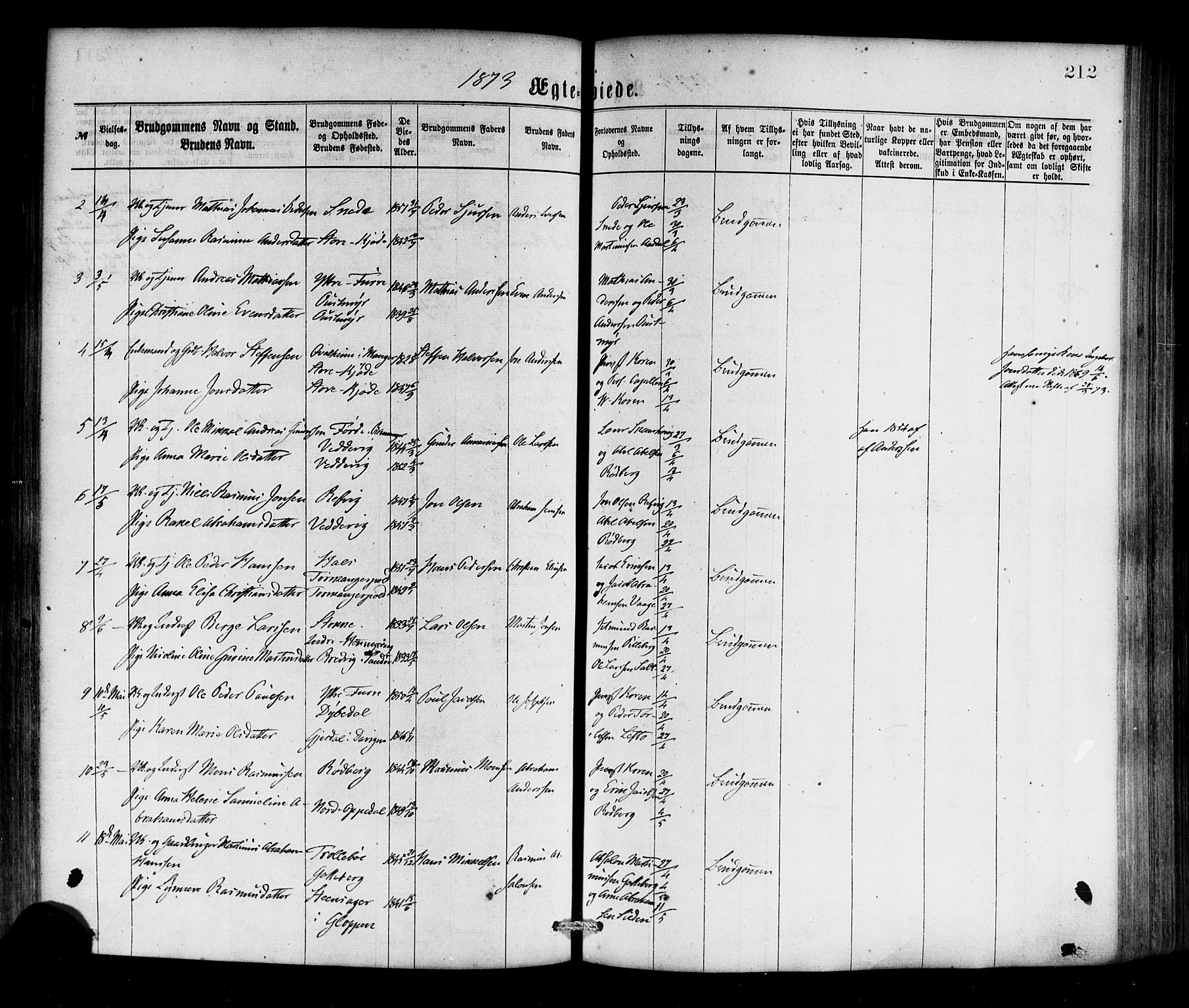 Selje sokneprestembete, SAB/A-99938/H/Ha/Haa/Haaa: Parish register (official) no. A 12, 1870-1880, p. 212