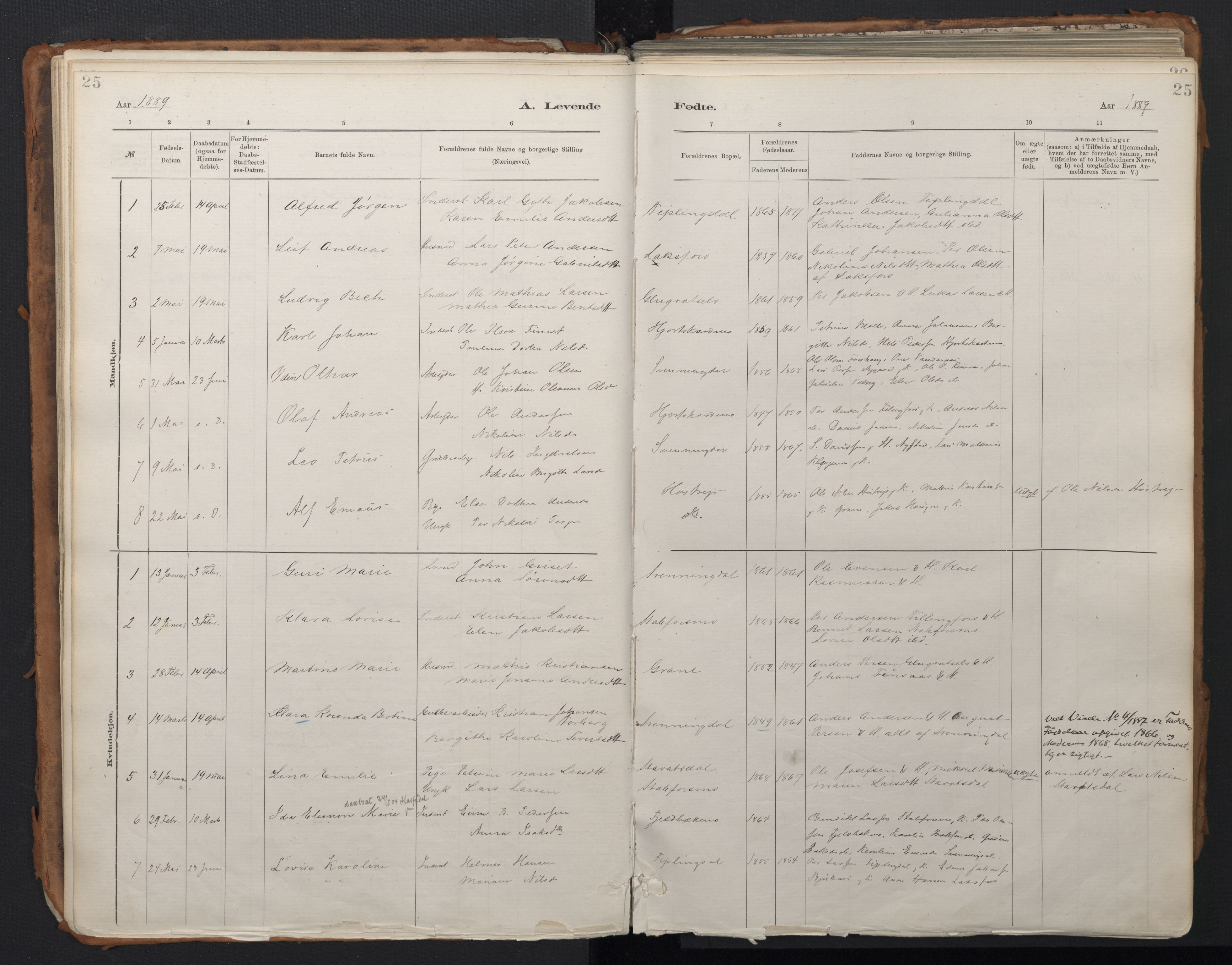 Ministerialprotokoller, klokkerbøker og fødselsregistre - Nordland, SAT/A-1459/824/L0338: Parish register (official) no. 824A01, 1880-1915, p. 25