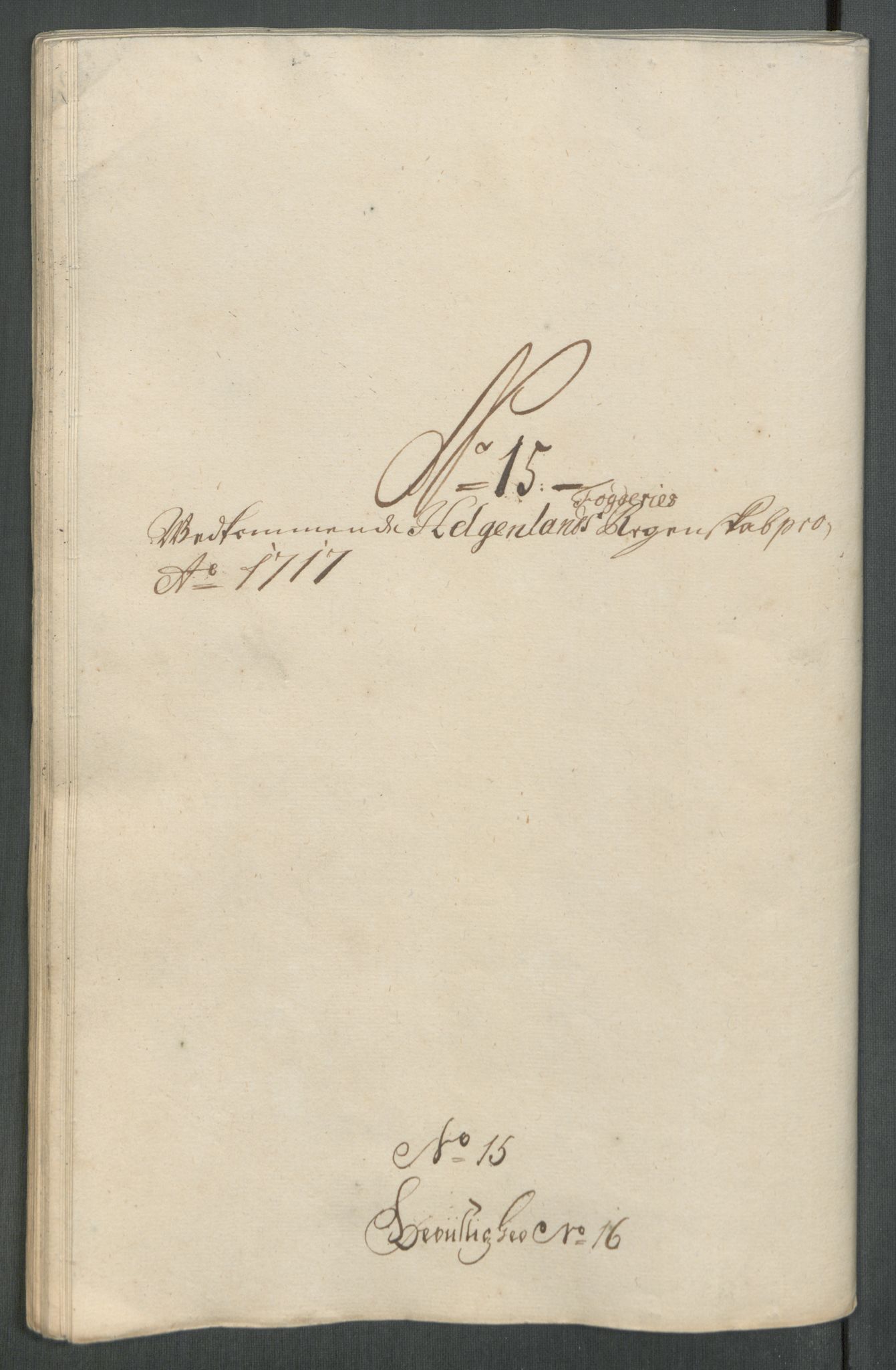 Rentekammeret inntil 1814, Reviderte regnskaper, Fogderegnskap, RA/EA-4092/R65/L4515: Fogderegnskap Helgeland, 1717, p. 238