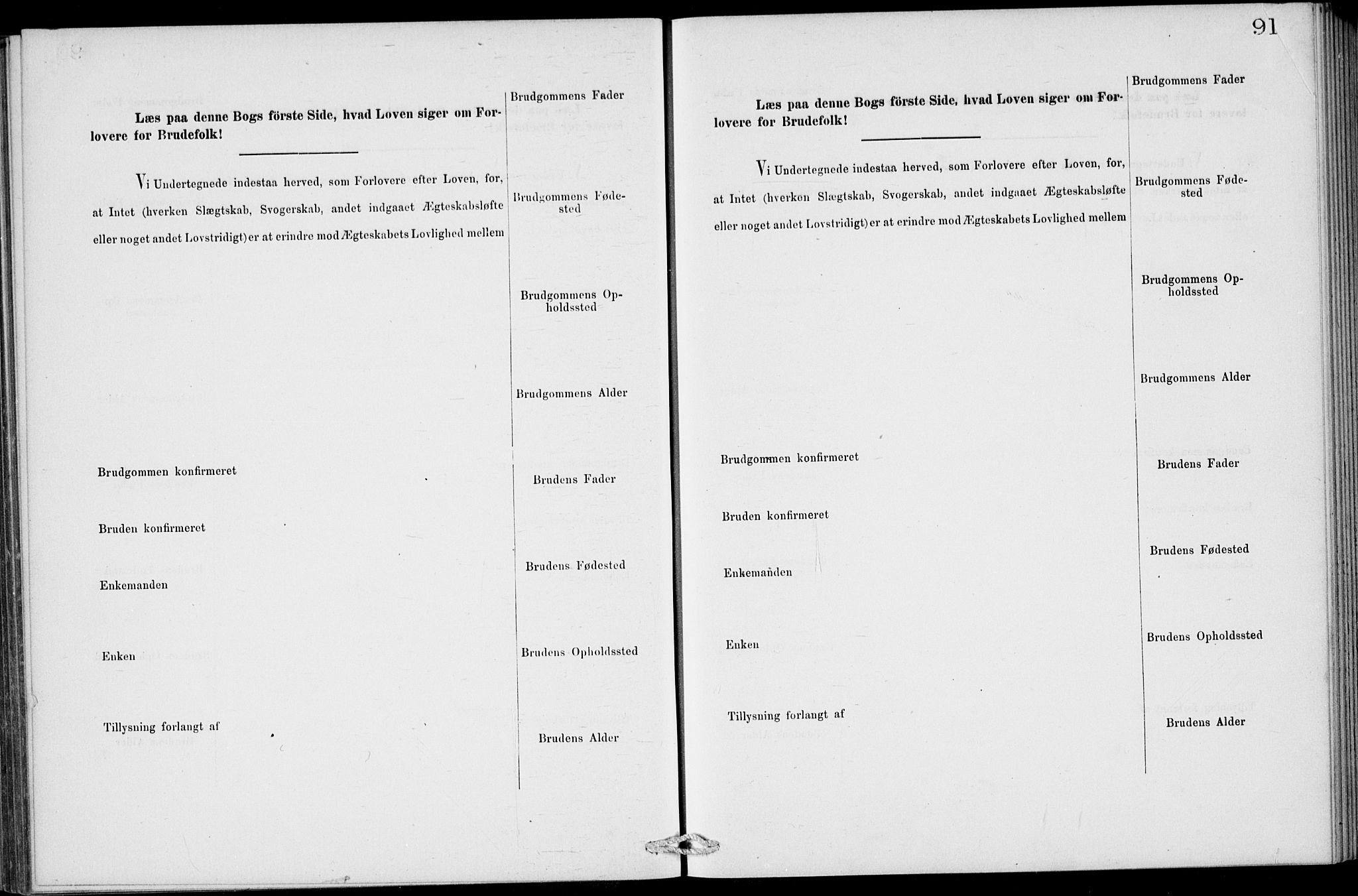 Stavern kirkebøker, AV/SAKO-A-318/H/Ha/L0001: Banns register no. 1, 1875-1918, p. 91