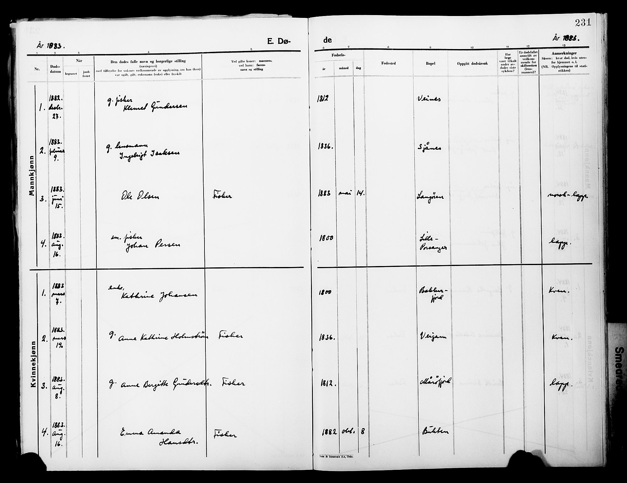 Lebesby sokneprestkontor, SATØ/S-1353/H/Ha/L0004kirke: Parish register (official) no. 4, 1870-1902, p. 231